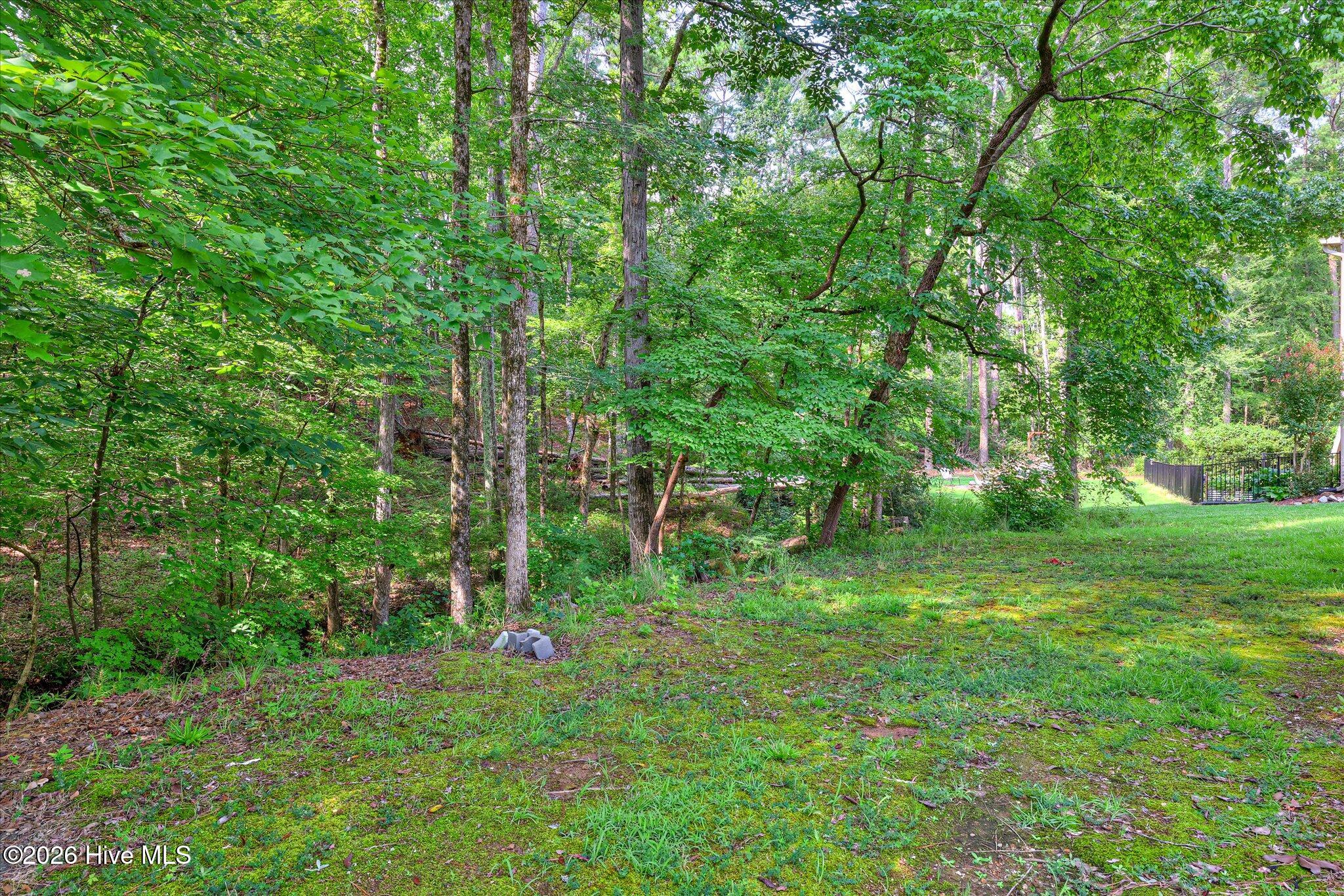 309 Palmer Lane Property Photo 43