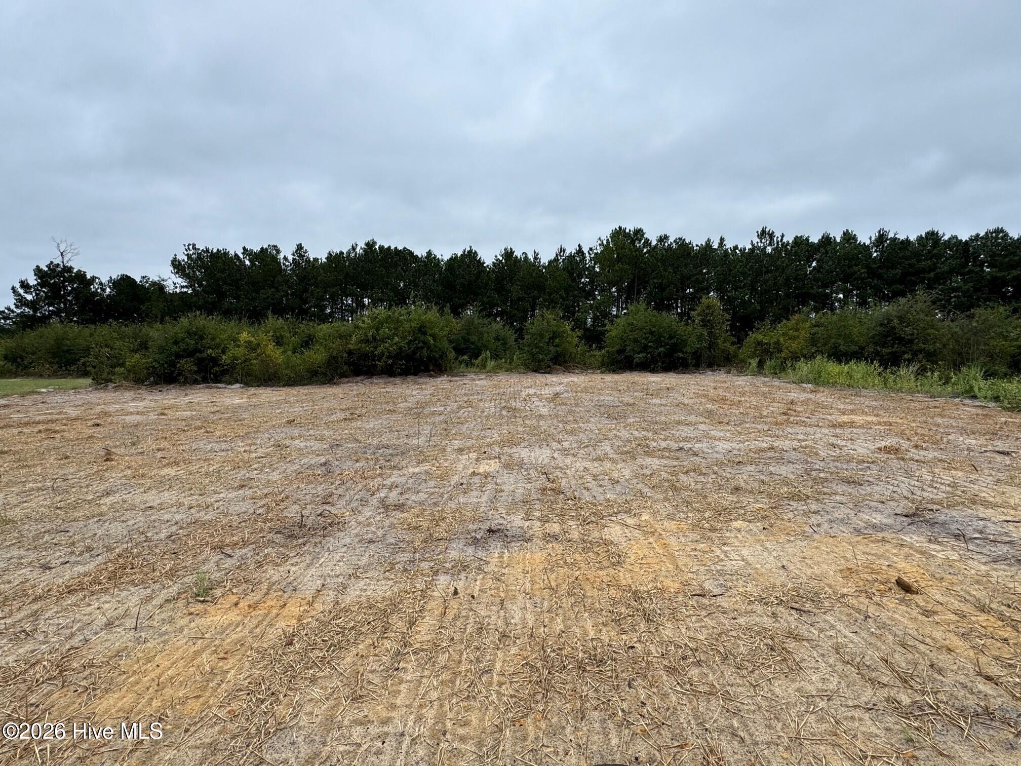 201 Ashley Heights Drive Property Photo 12