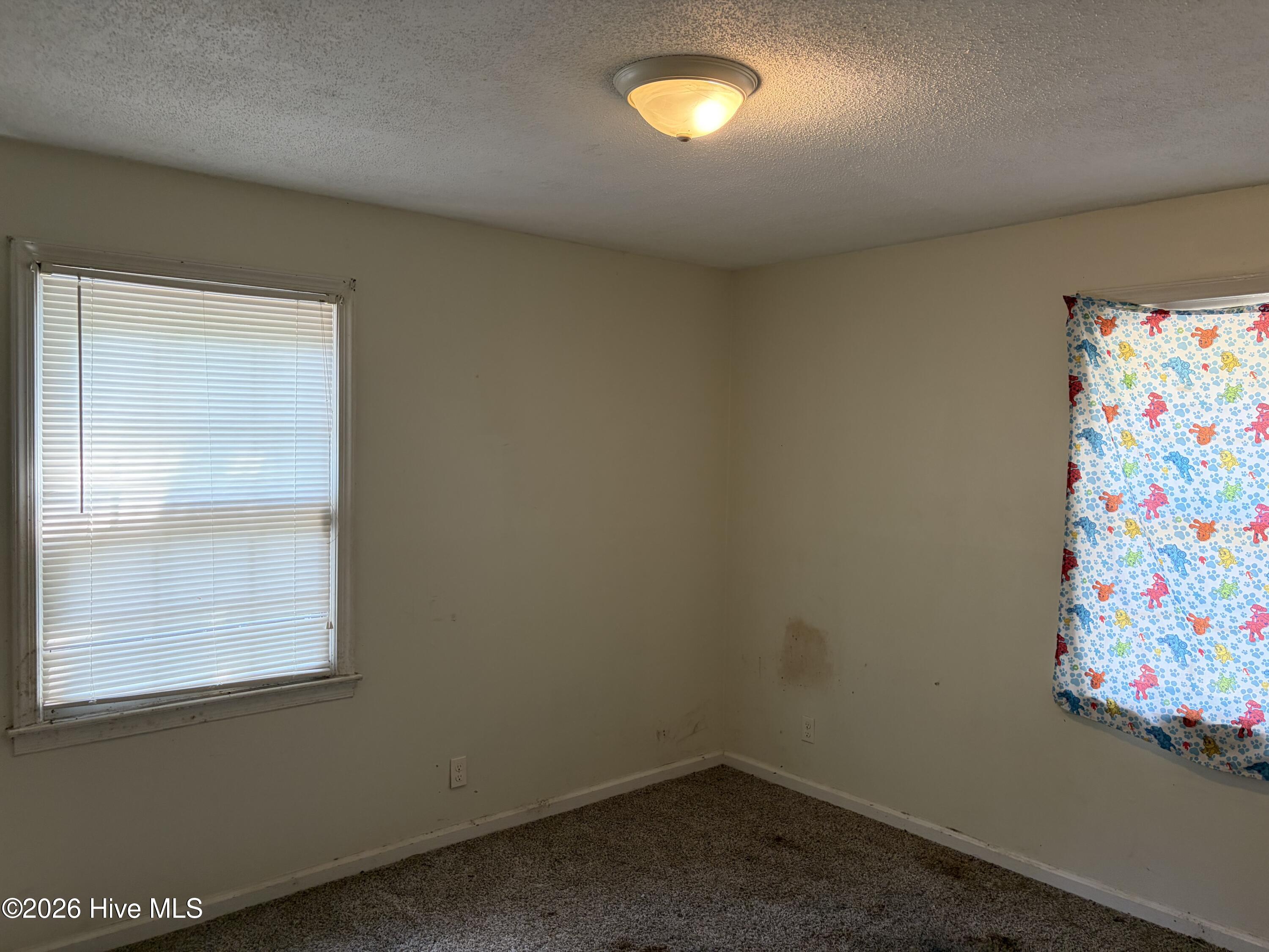 2415 Dickey Road Property Photo 10