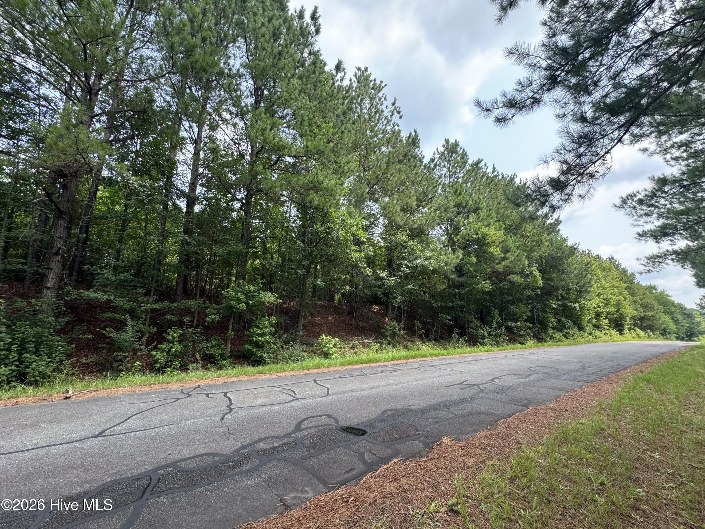382 Alston Horton Service Road Property Photo 1