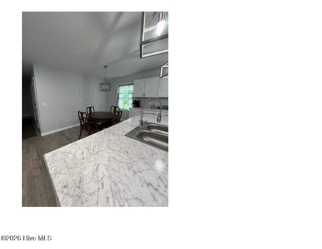 111 Ronny Court Property Photo 23