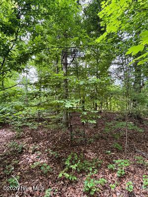 1188 Long Cane Road Property Photo 4
