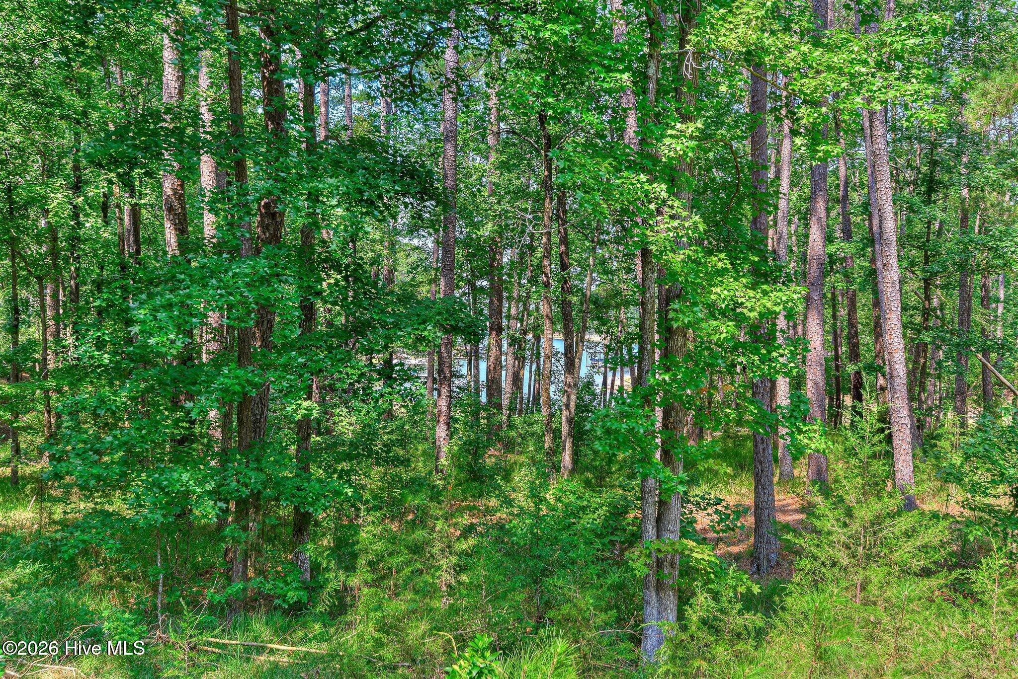 229 Windy Circle Property Photo 46