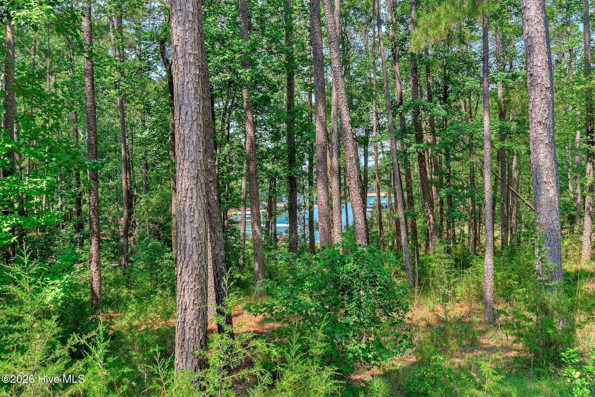 229 Windy Circle Property Photo 47