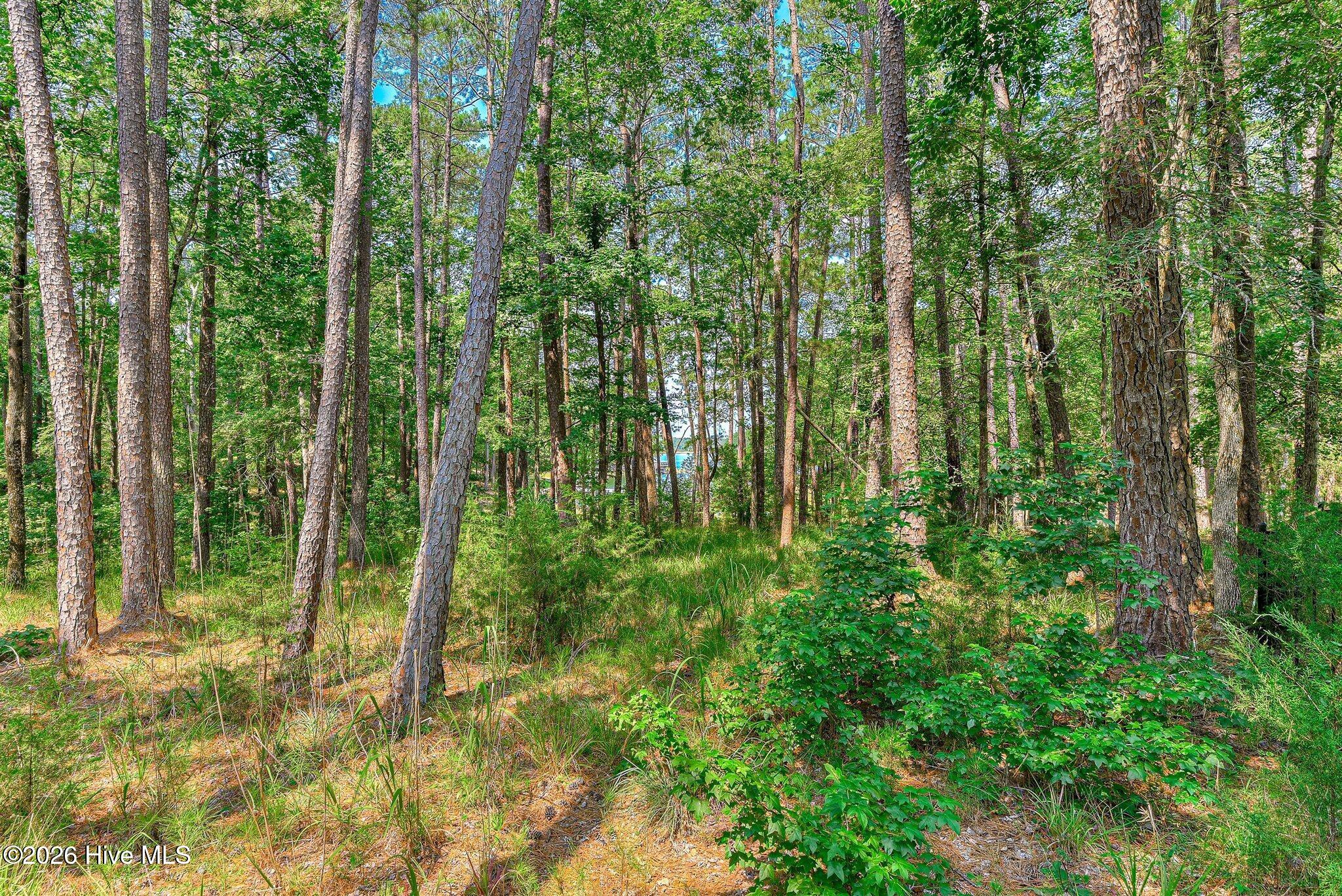 229 Windy Circle Property Photo 50
