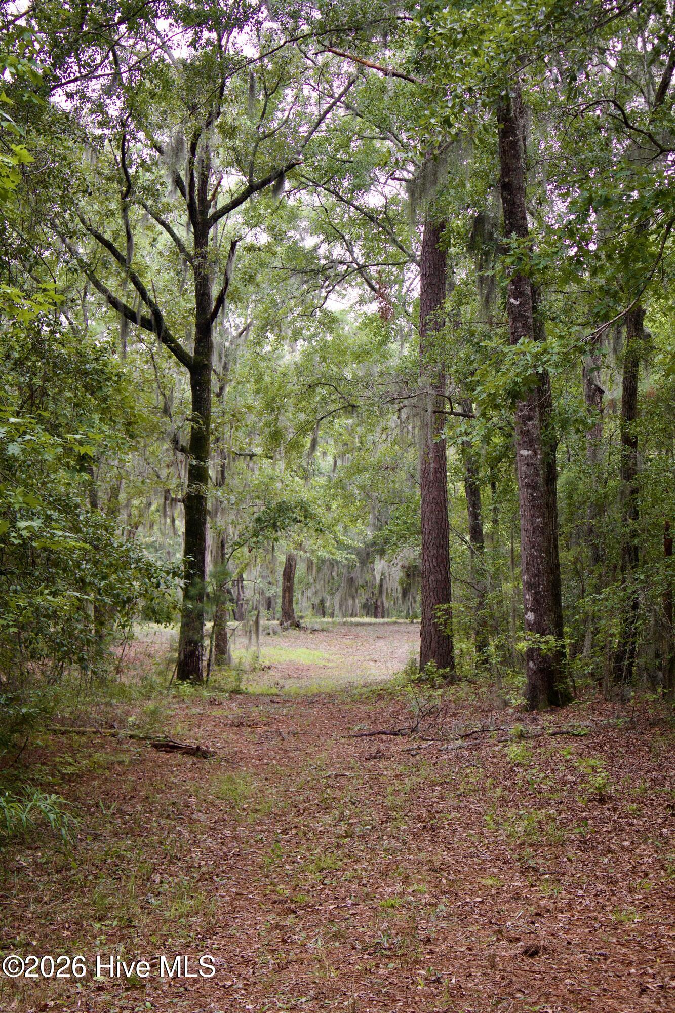 385 Sand Ridge Road Property Photo 2
