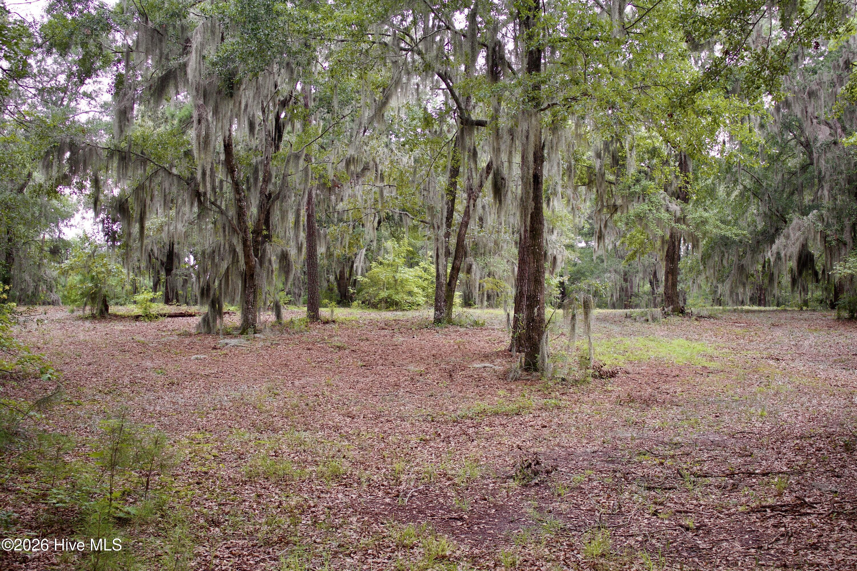 385 Sand Ridge Road Property Photo 3