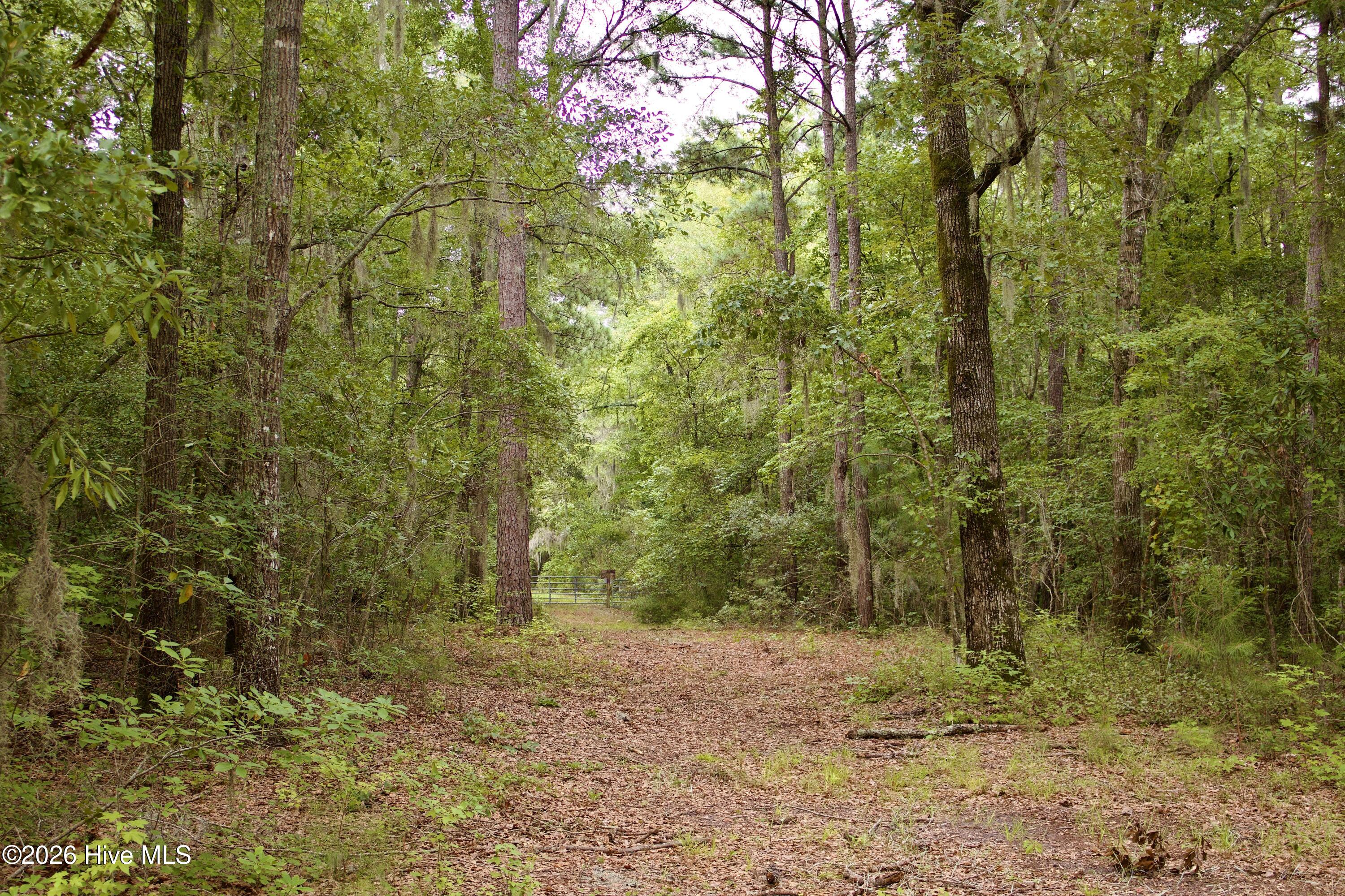 385 Sand Ridge Road Property Photo 5