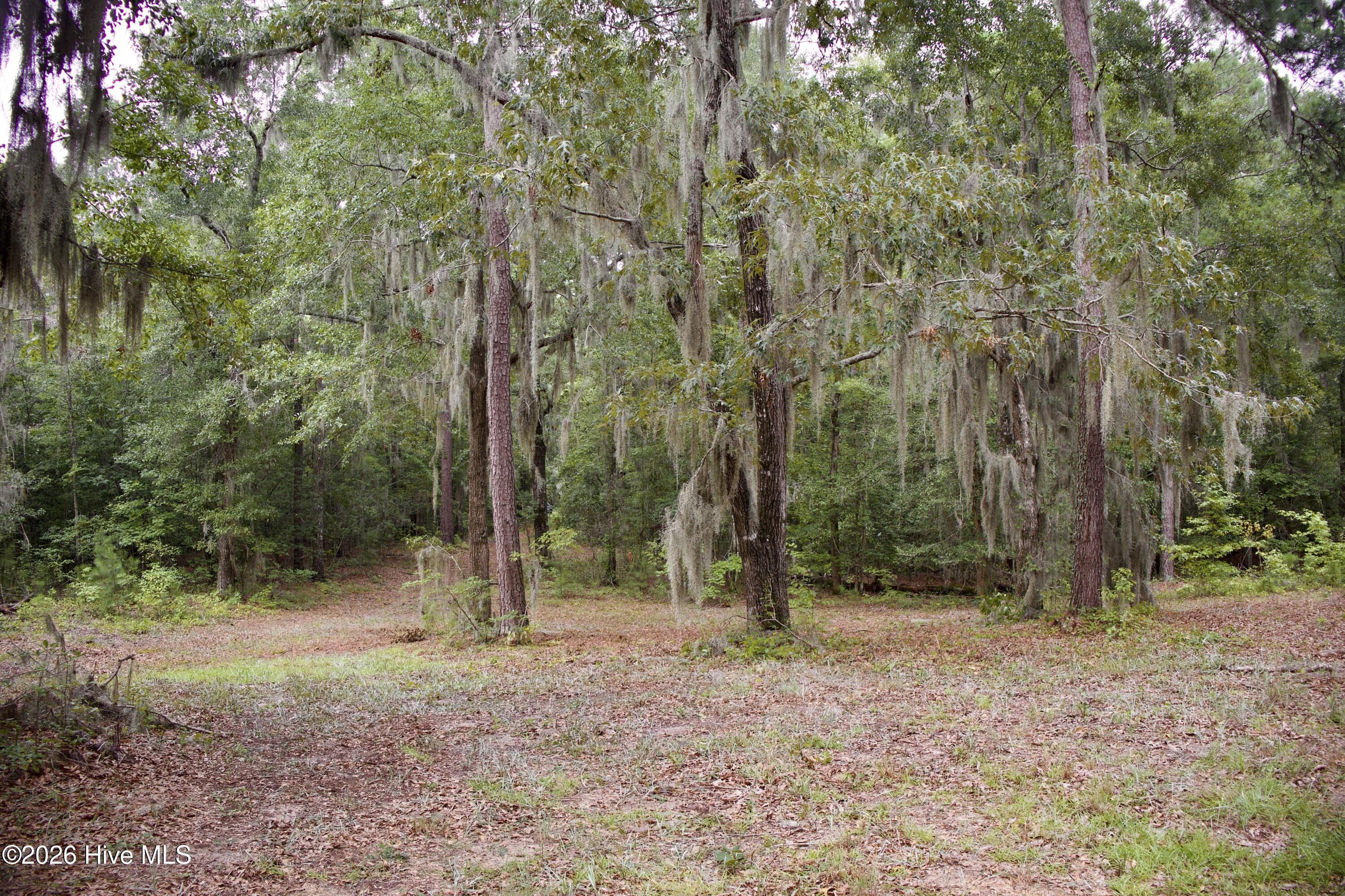 385 Sand Ridge Road Property Photo 6