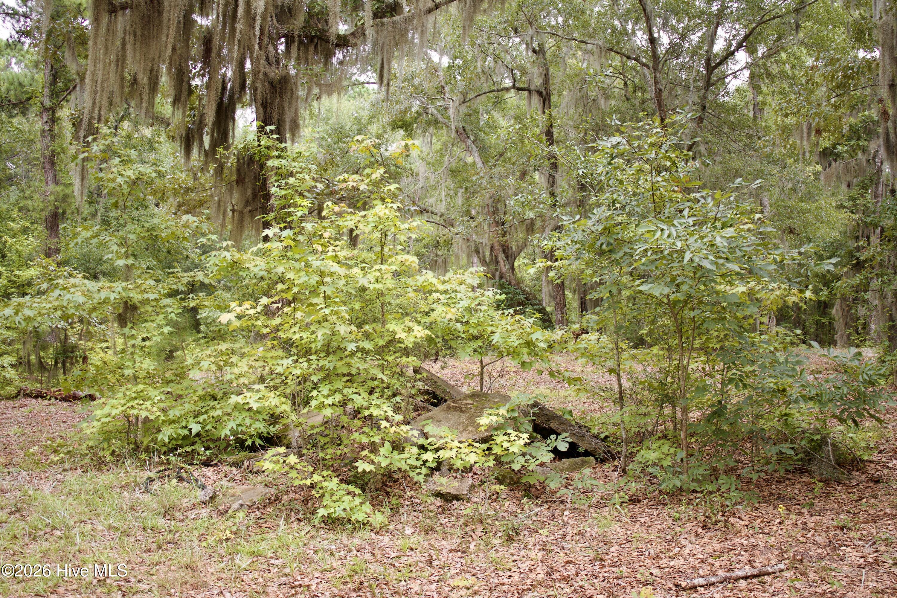 385 Sand Ridge Road Property Photo 7
