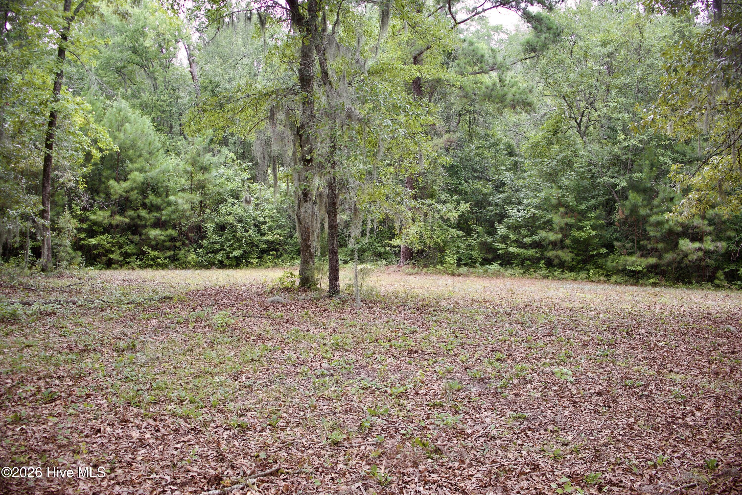 385 Sand Ridge Road Property Photo 11