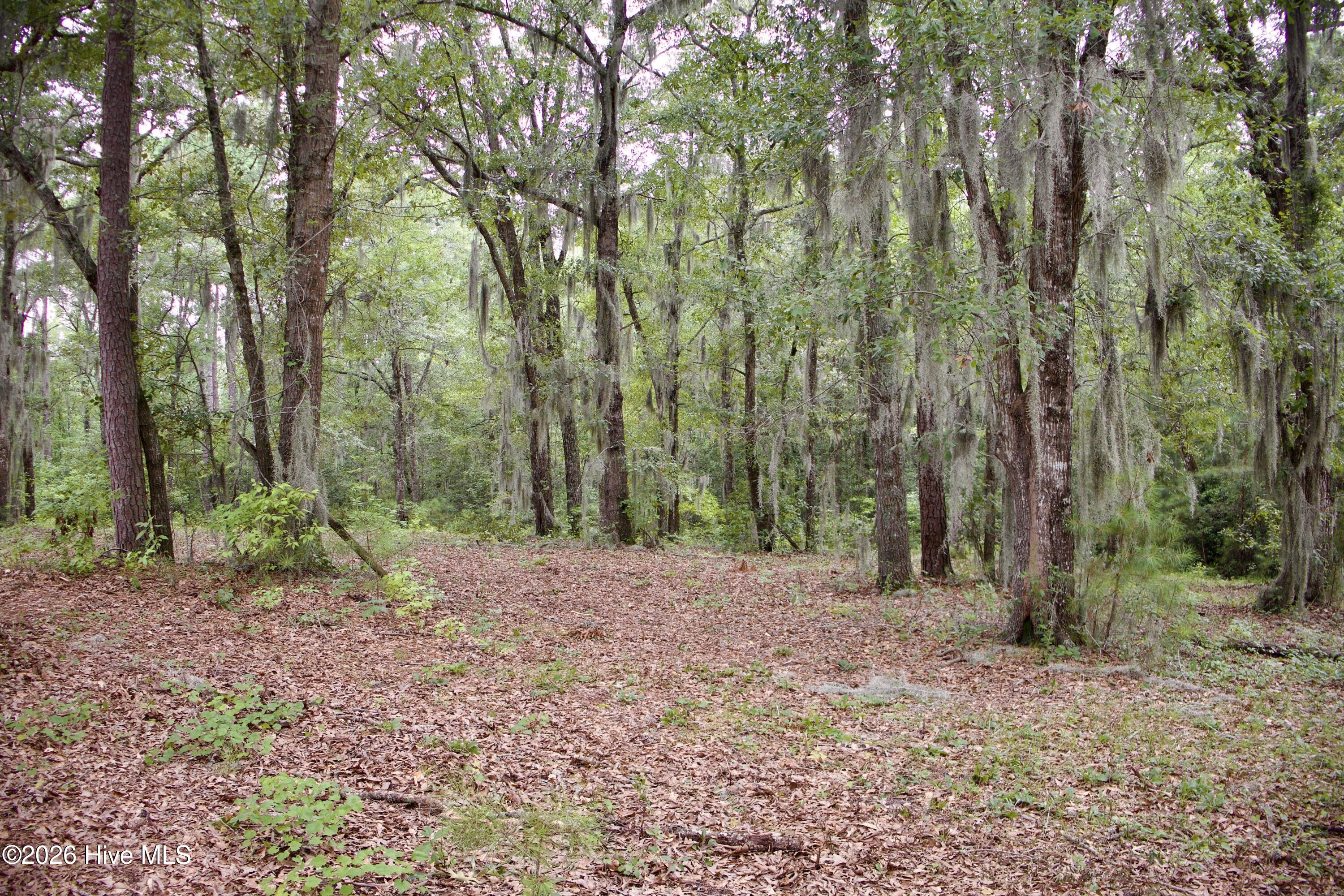 385 Sand Ridge Road Property Photo 12