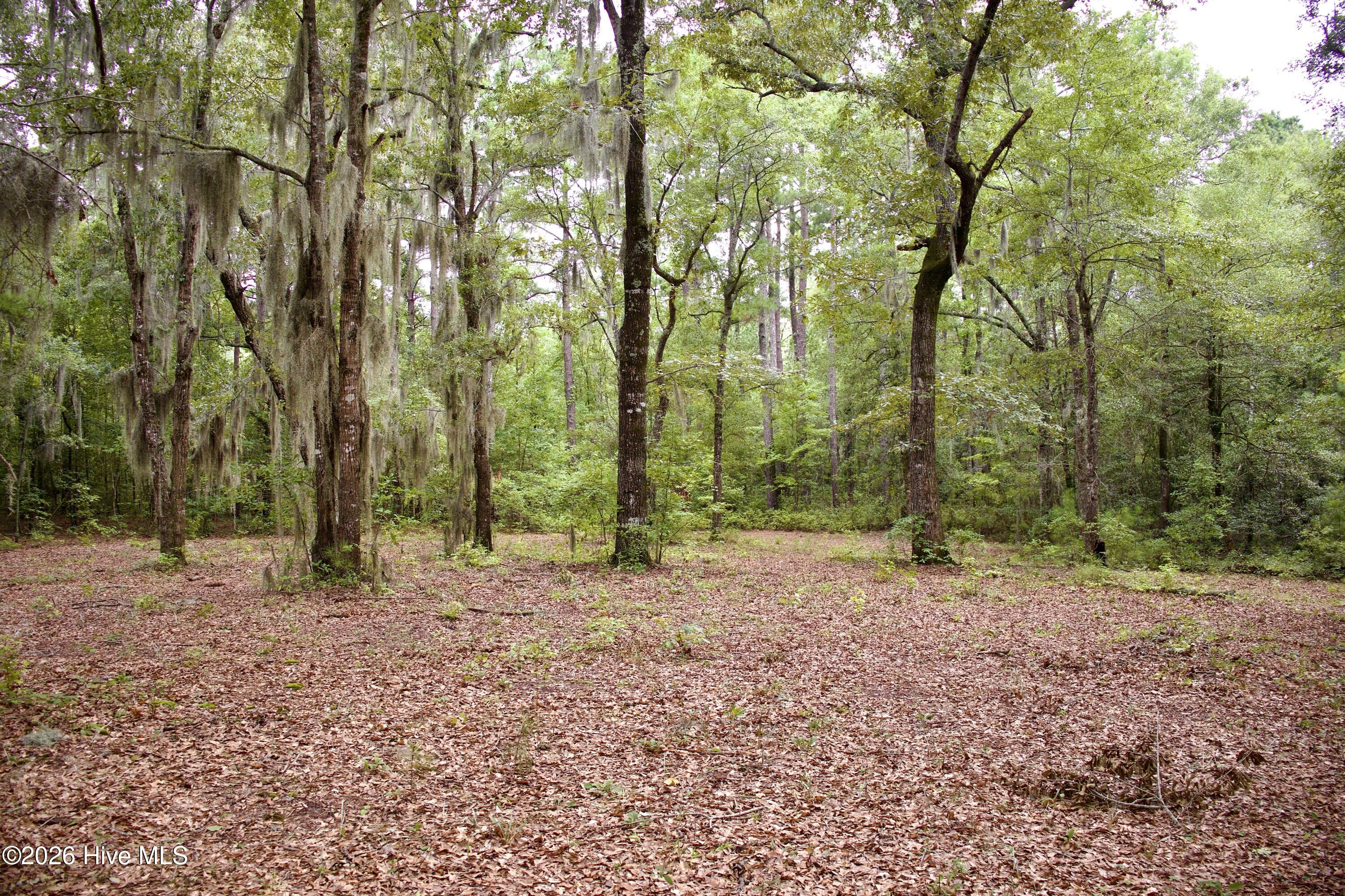 385 Sand Ridge Road Property Photo 13