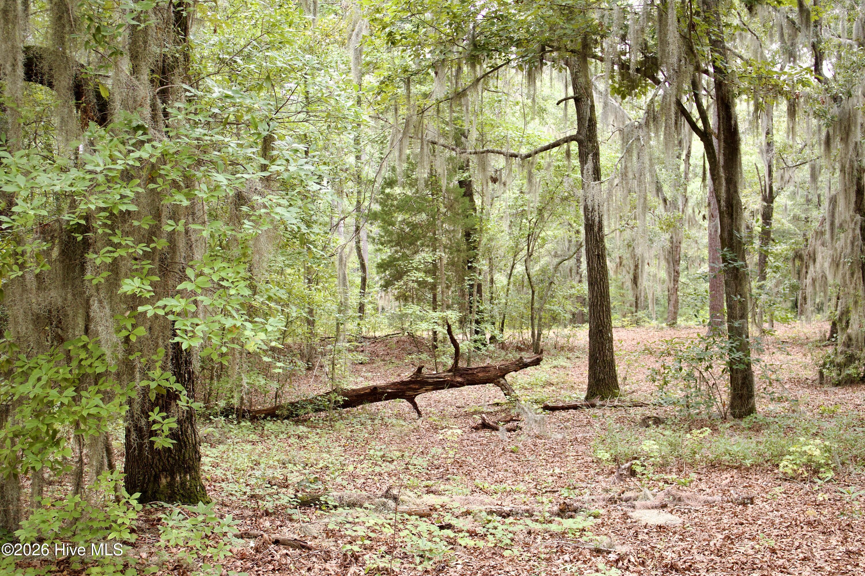 385 Sand Ridge Road Property Photo 15