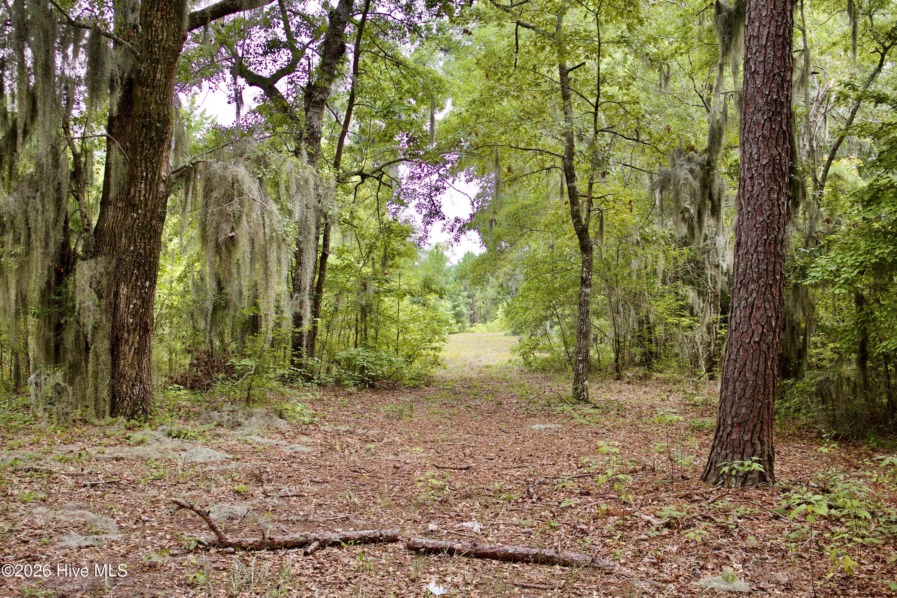 385 Sand Ridge Road Property Photo 16