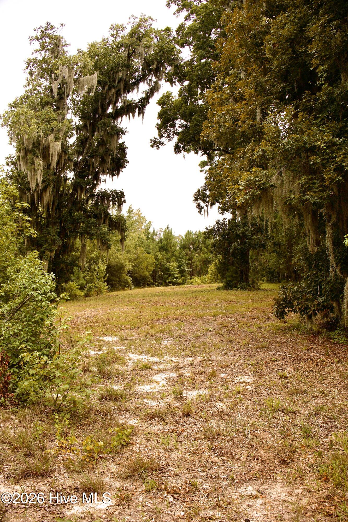 385 Sand Ridge Road Property Photo 17