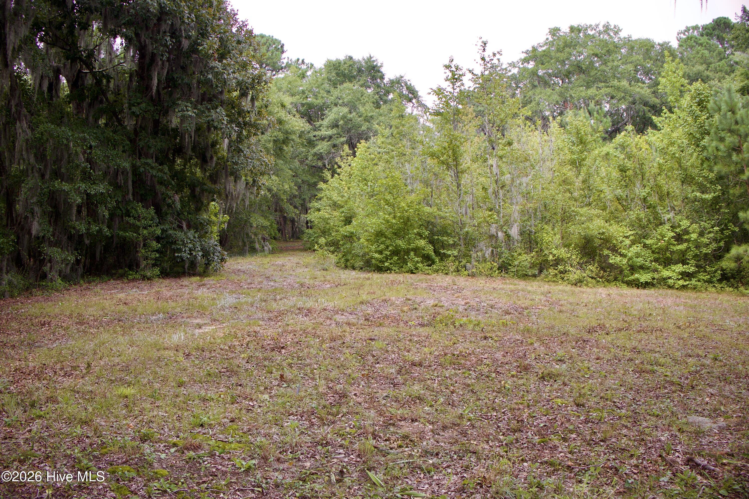 385 Sand Ridge Road Property Photo 19