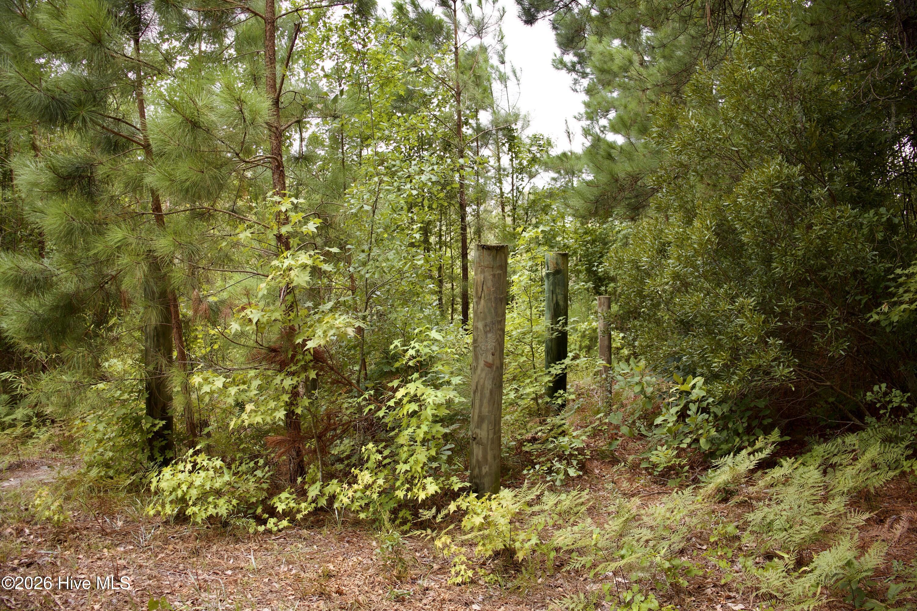 385 Sand Ridge Road Property Photo 20