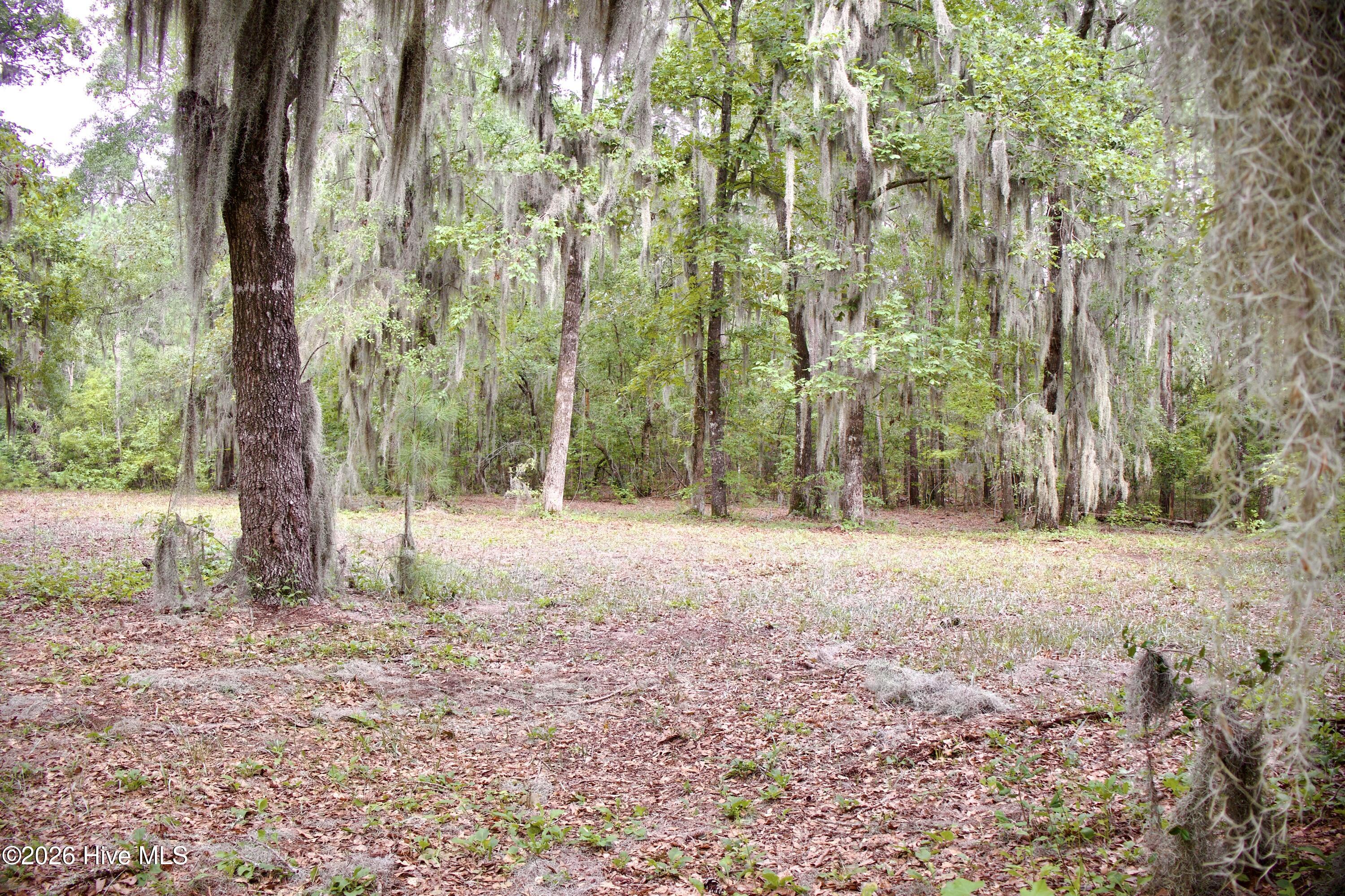 385 Sand Ridge Road Property Photo 26