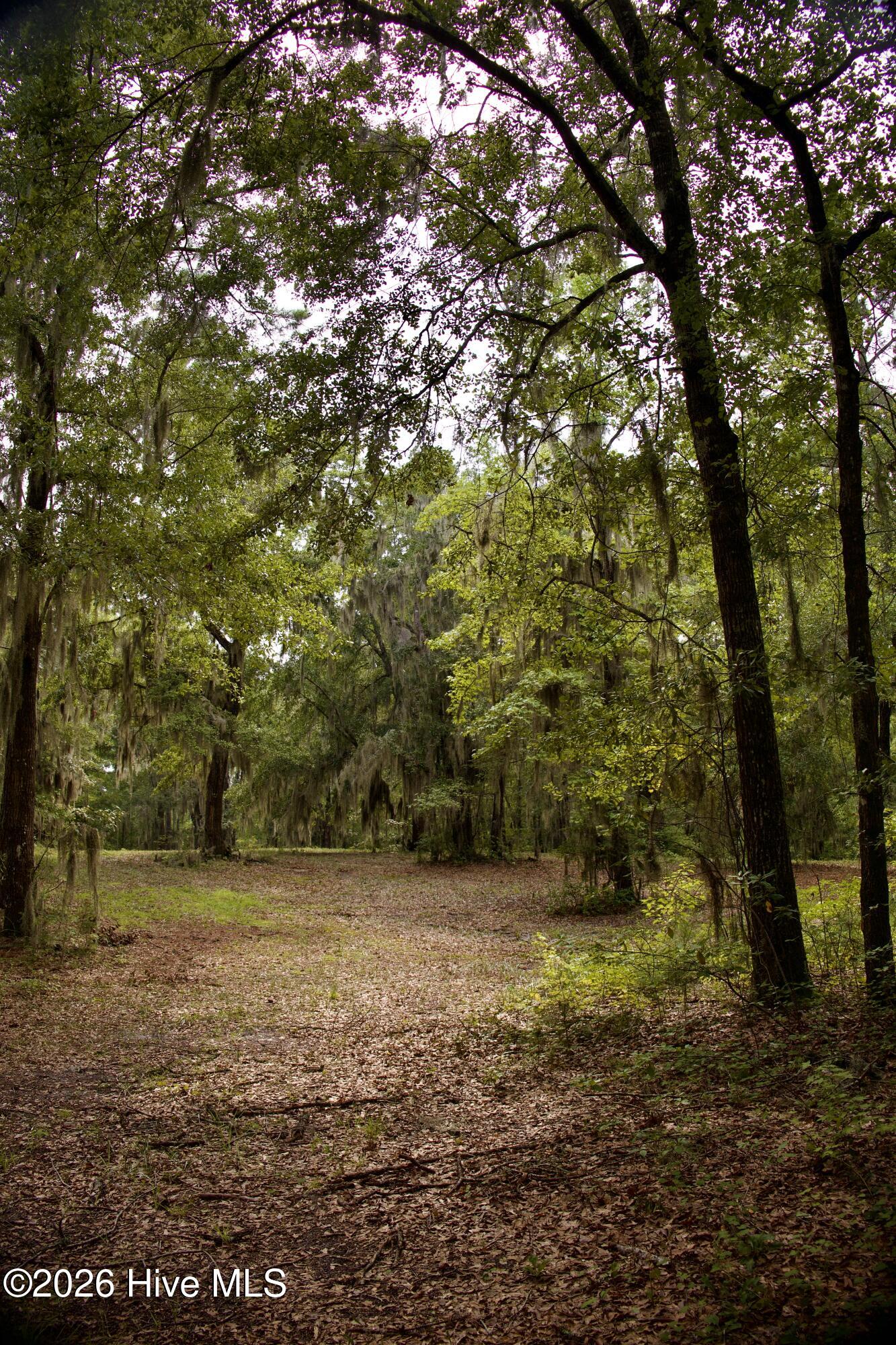 385 Sand Ridge Road Property Photo 33