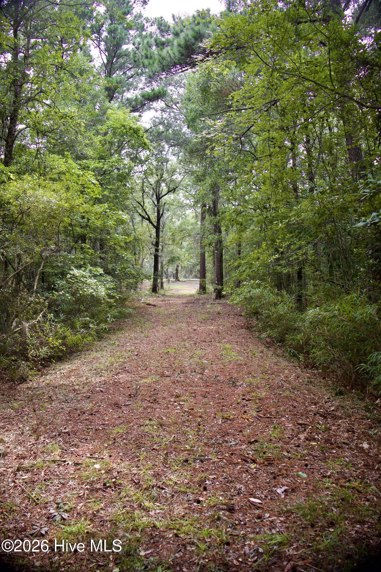 385 Sand Ridge Road Property Photo 34