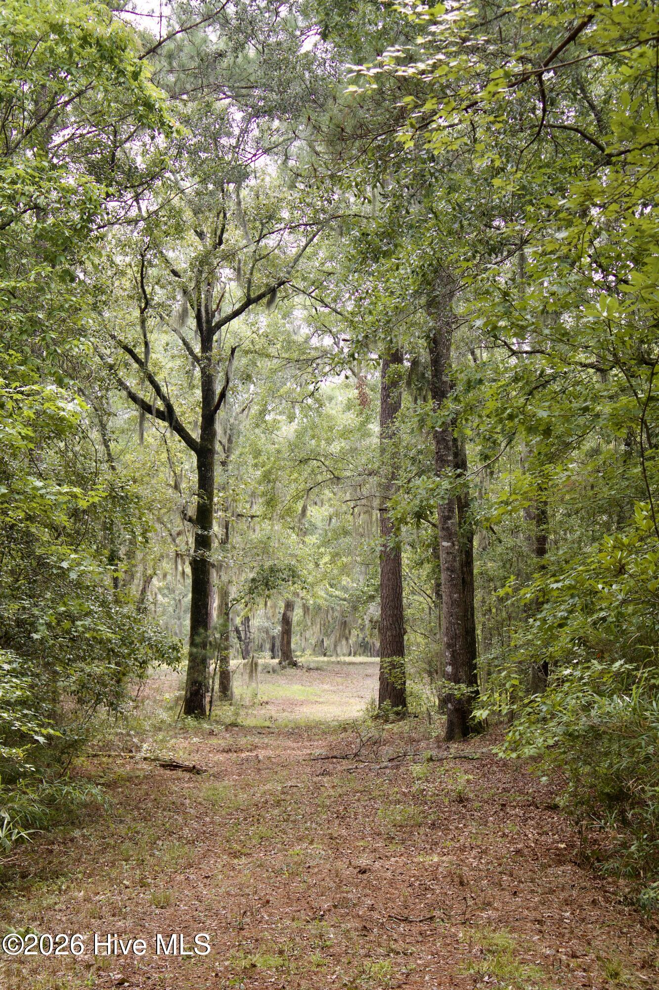 385 Sand Ridge Road Property Photo 35