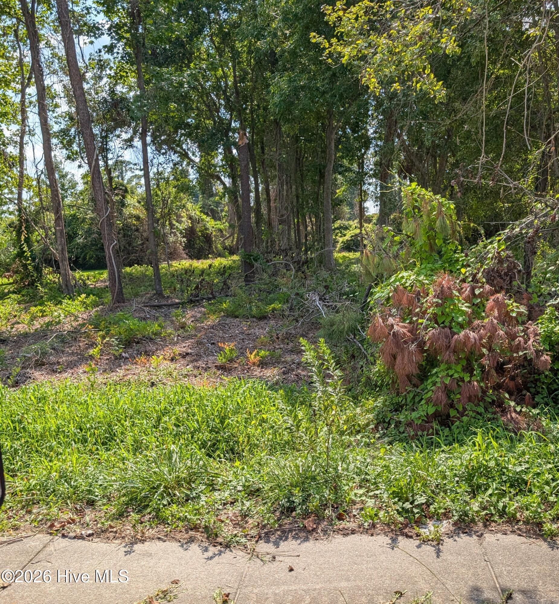 852 Bell Fork Road Property Photo 1