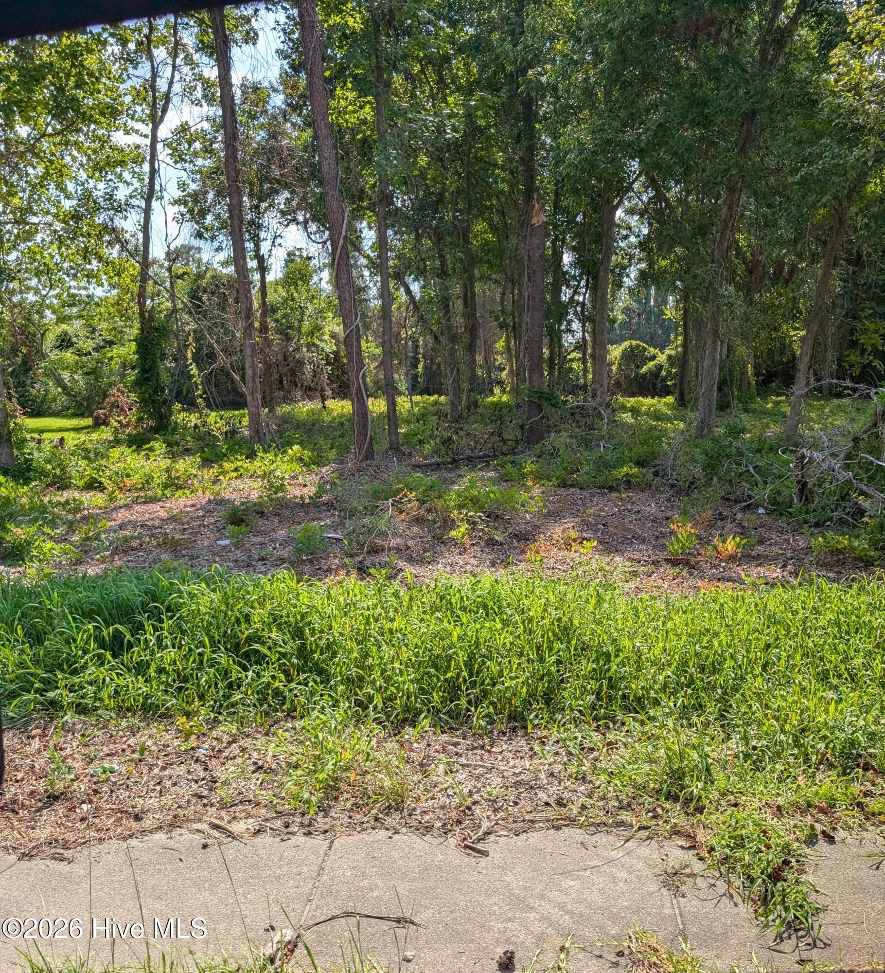 852 Bell Fork Road Property Photo 2