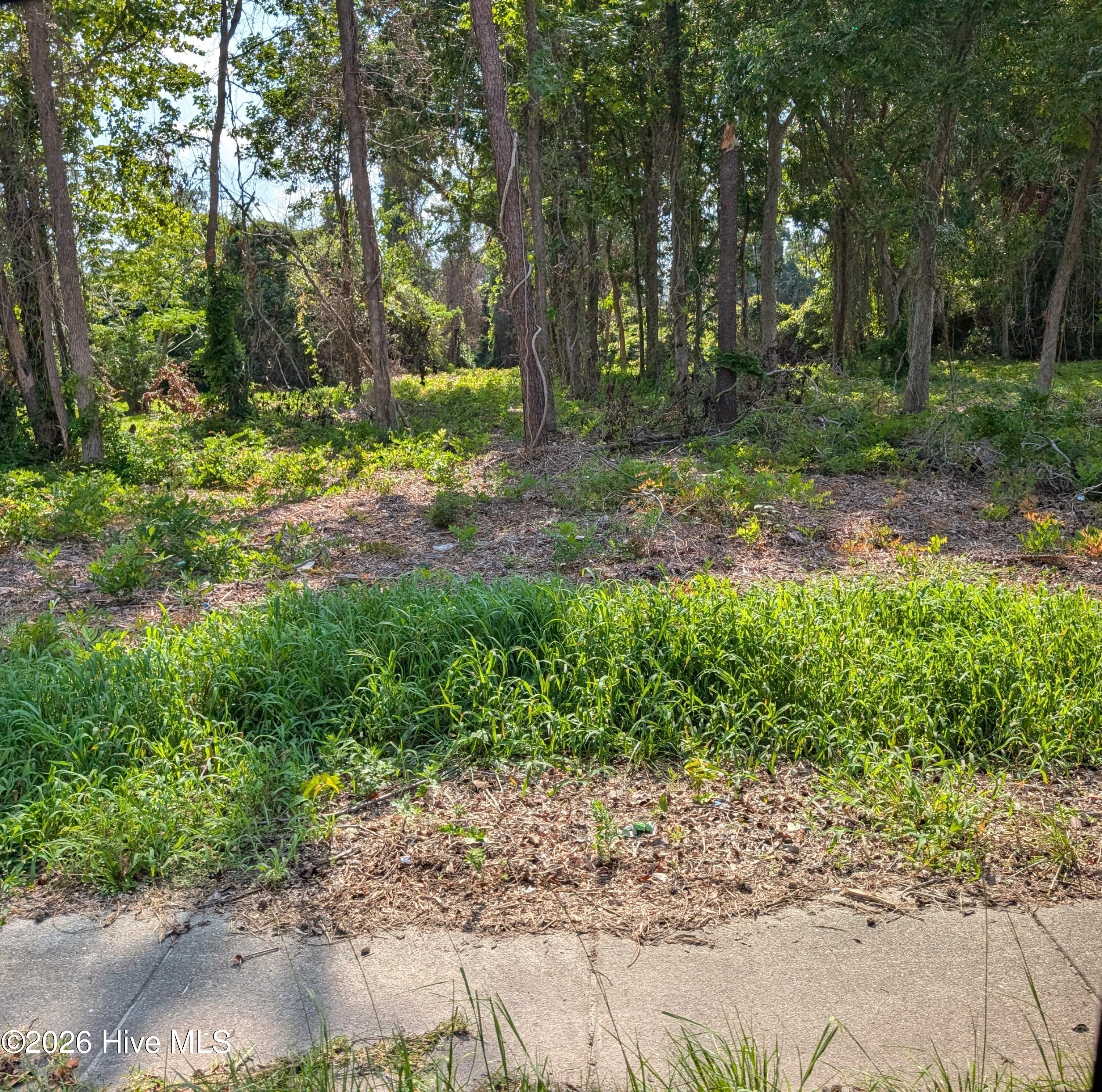 852 Bell Fork Road Property Photo 3