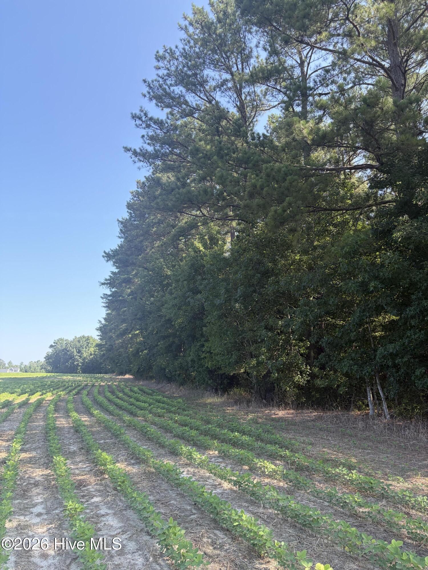 Tbd Bella Bridge Road Property Photo 3