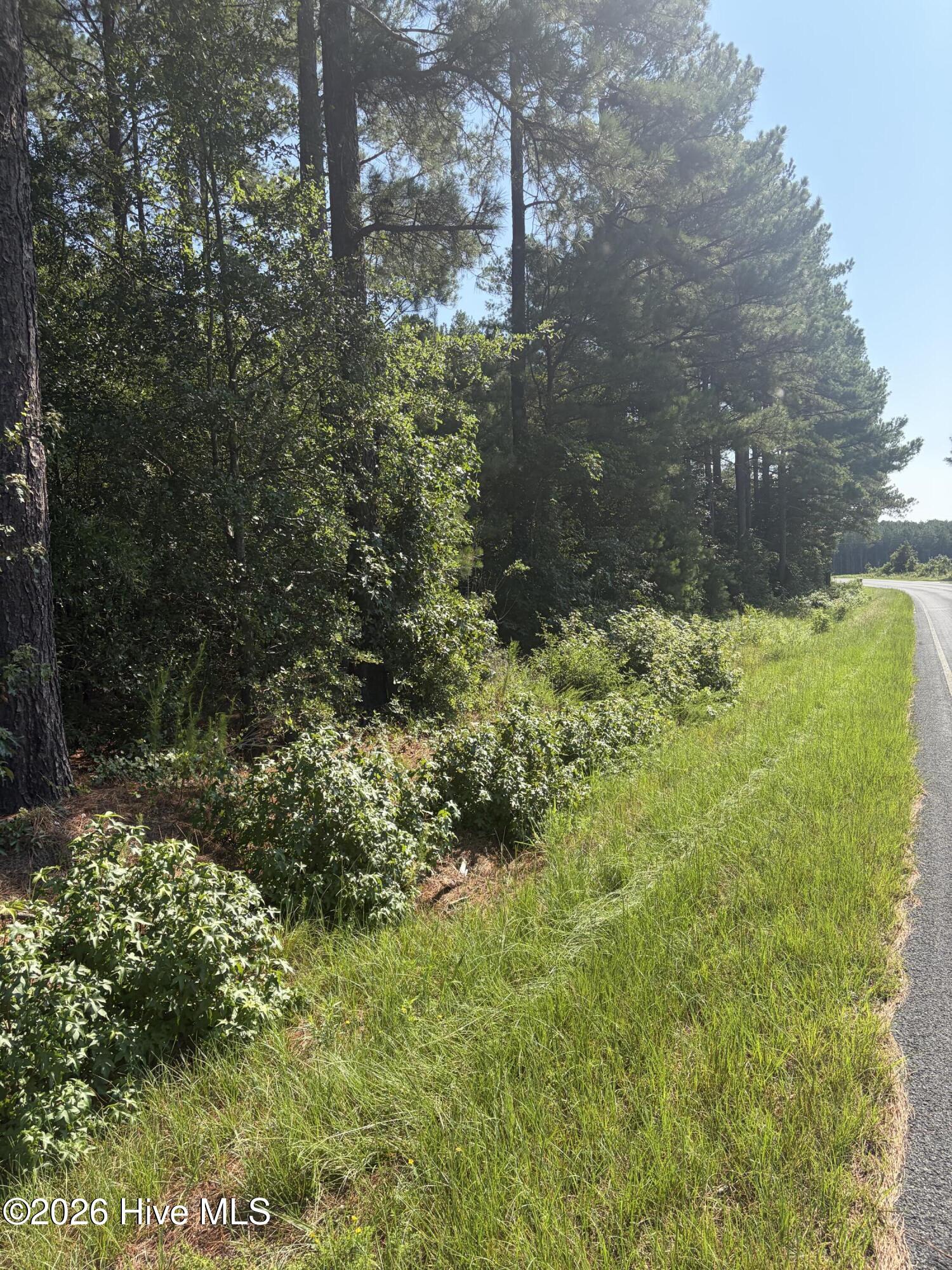 Tbd Bella Bridge Road Property Photo 6
