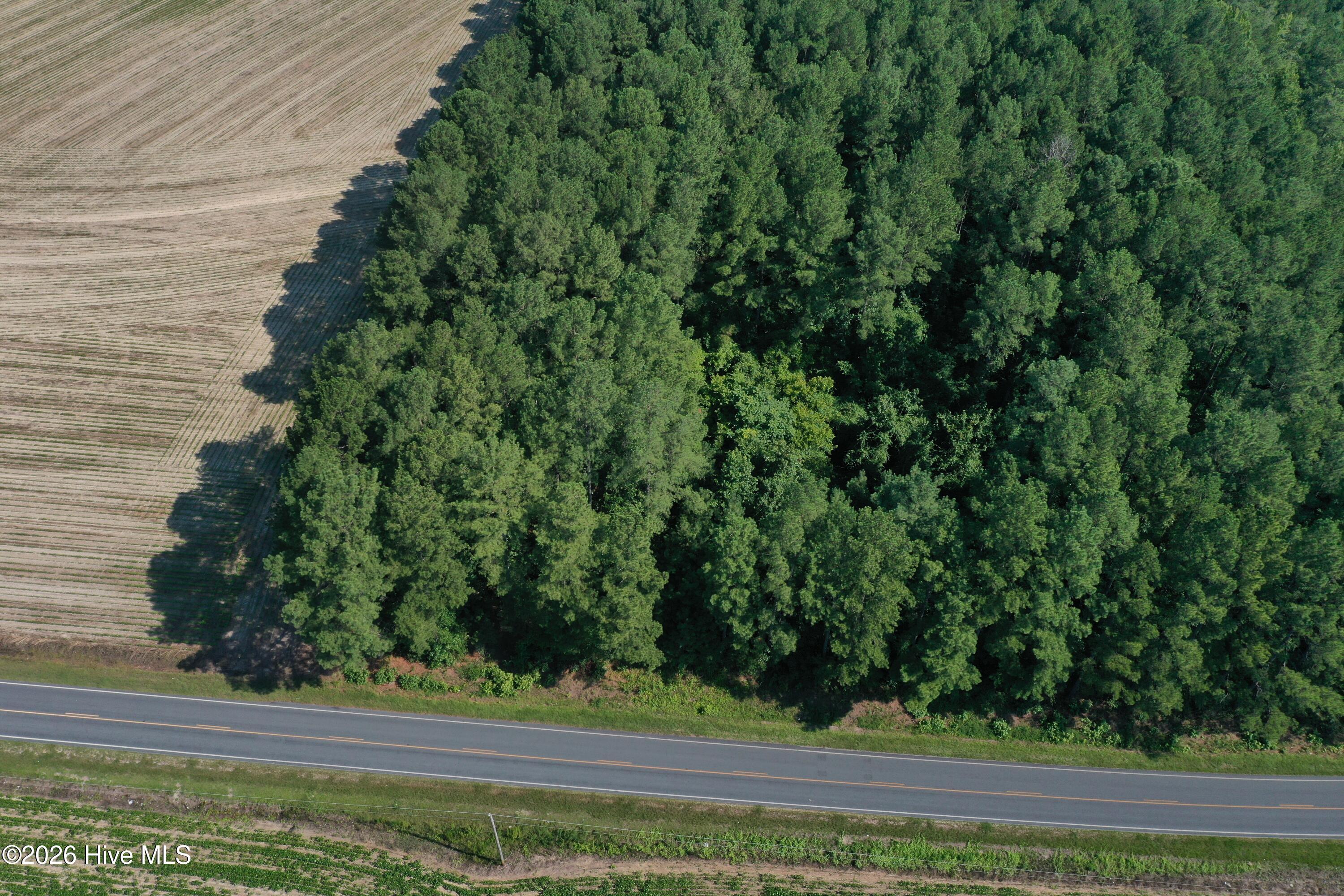 Tbd Bella Bridge Road Property Photo 18