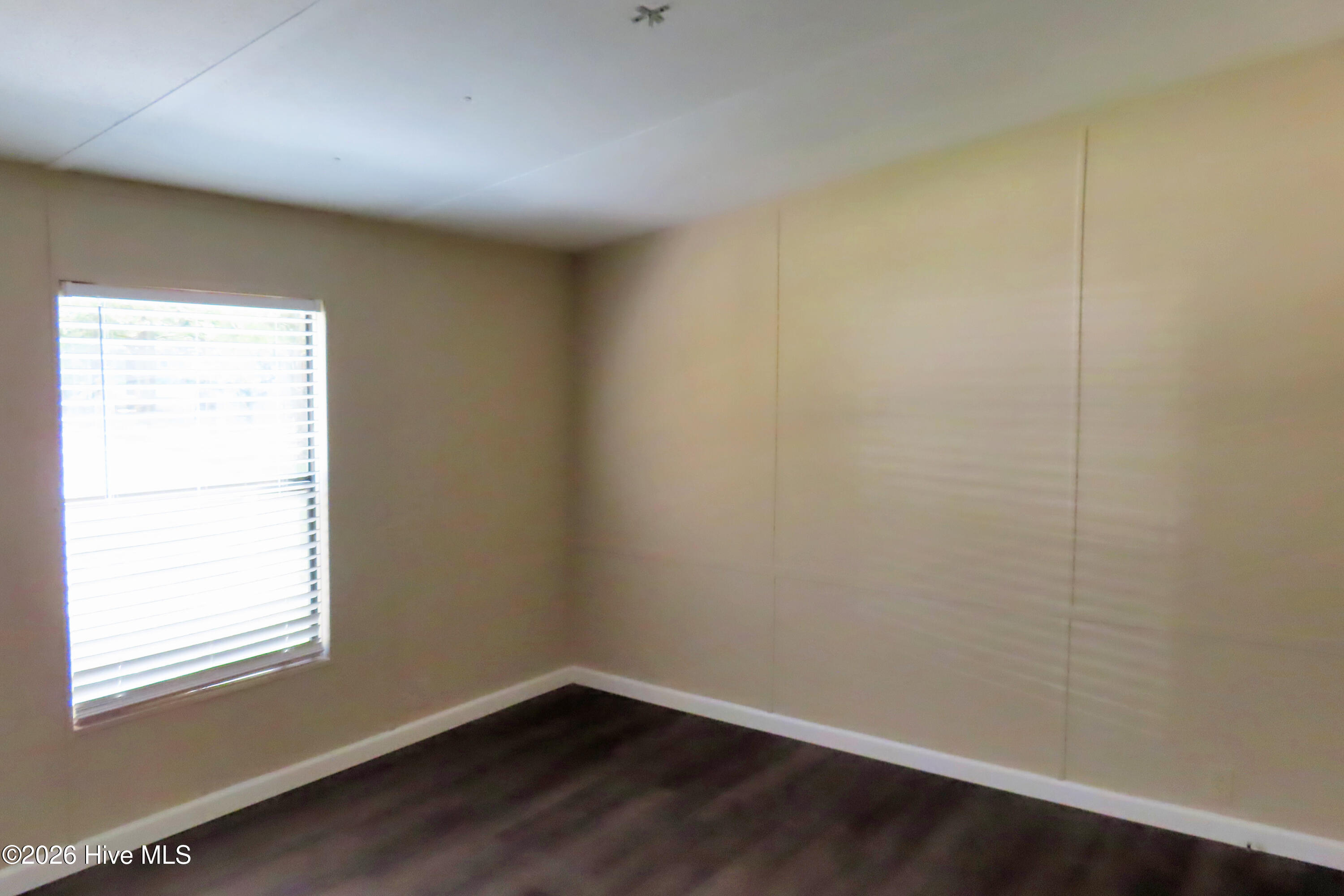 162 Pauline Street Property Photo 6