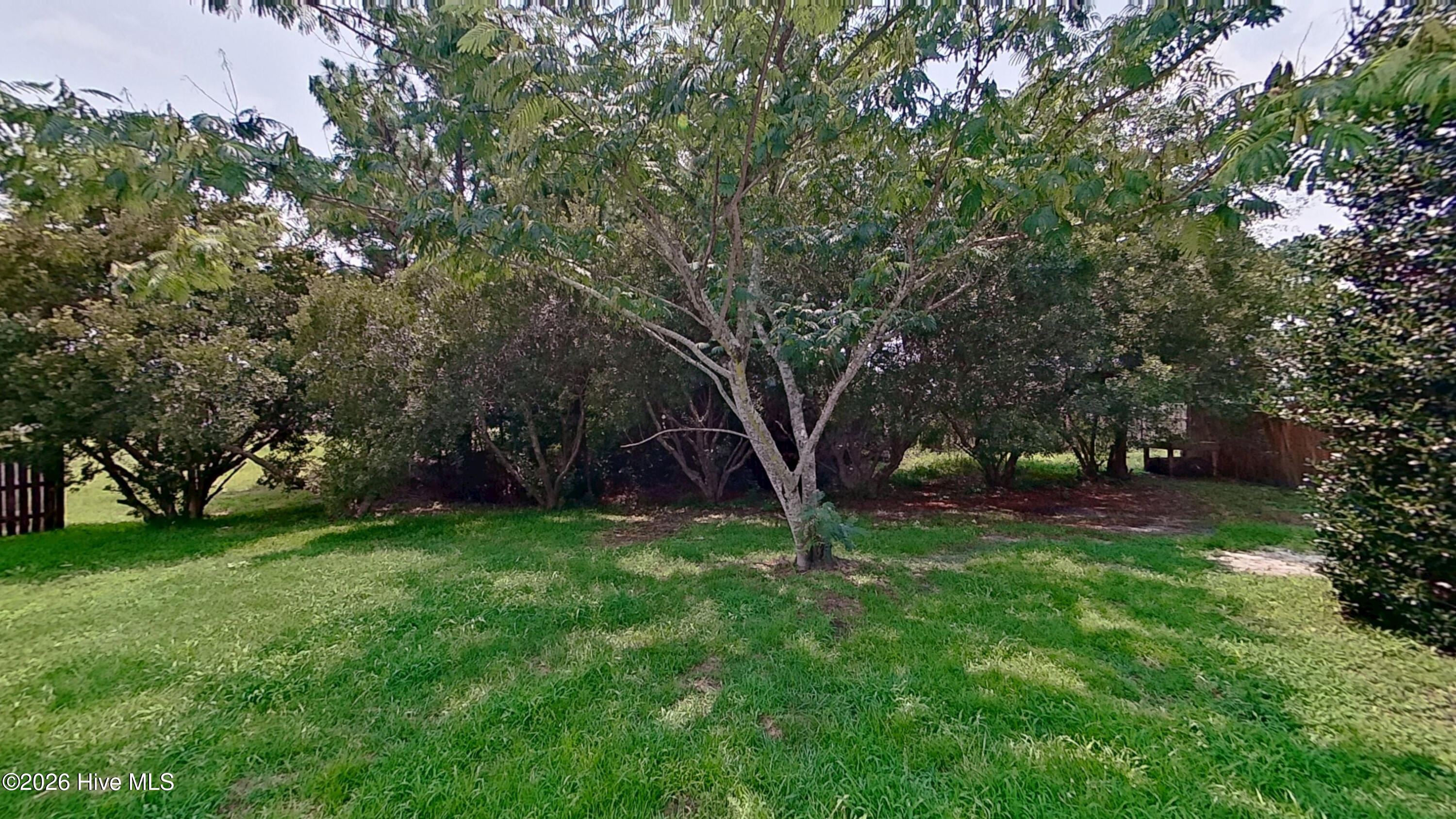 2311 Sapling Circle Property Photo 20