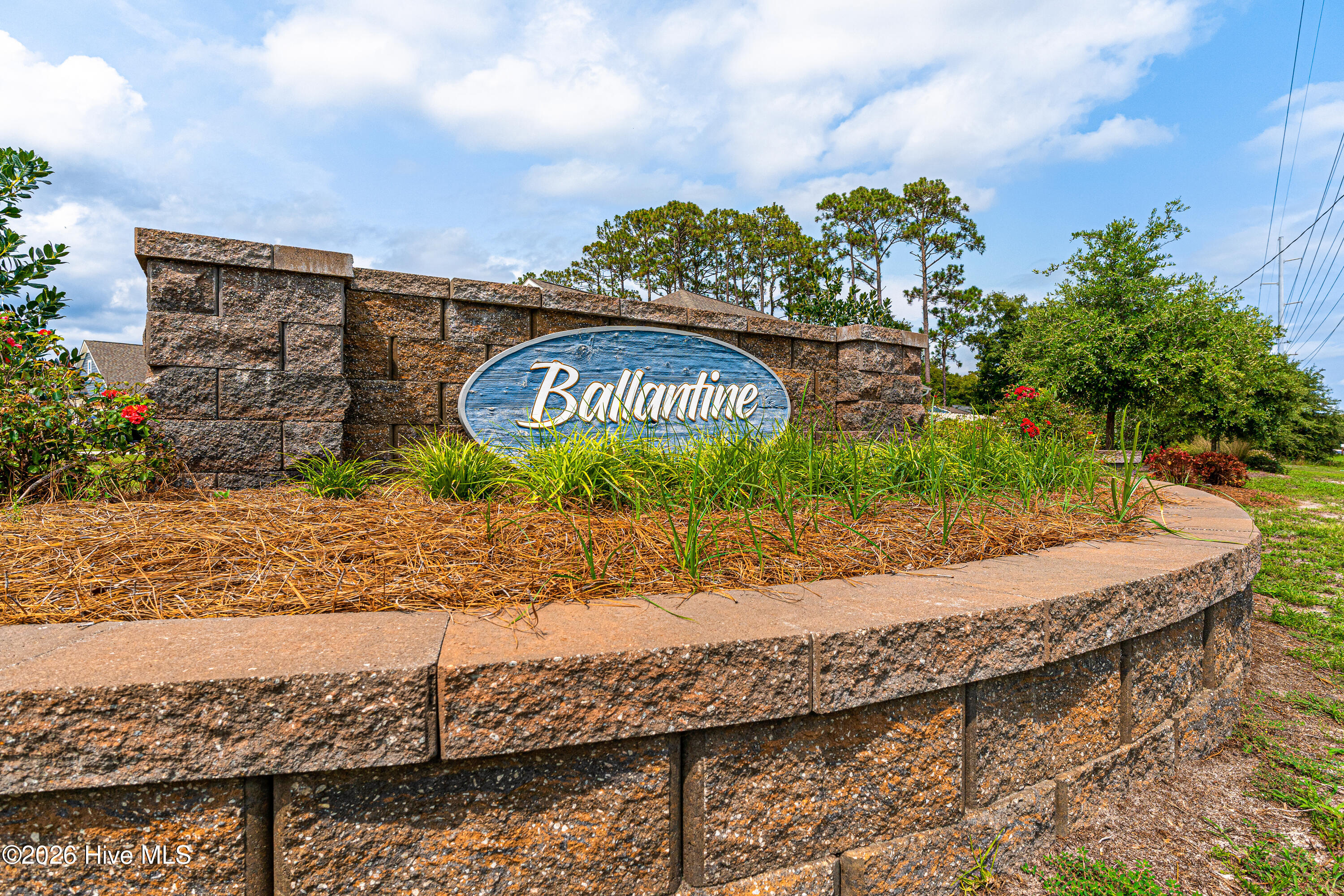146 Ballantine Grove Lane Property Photo 49