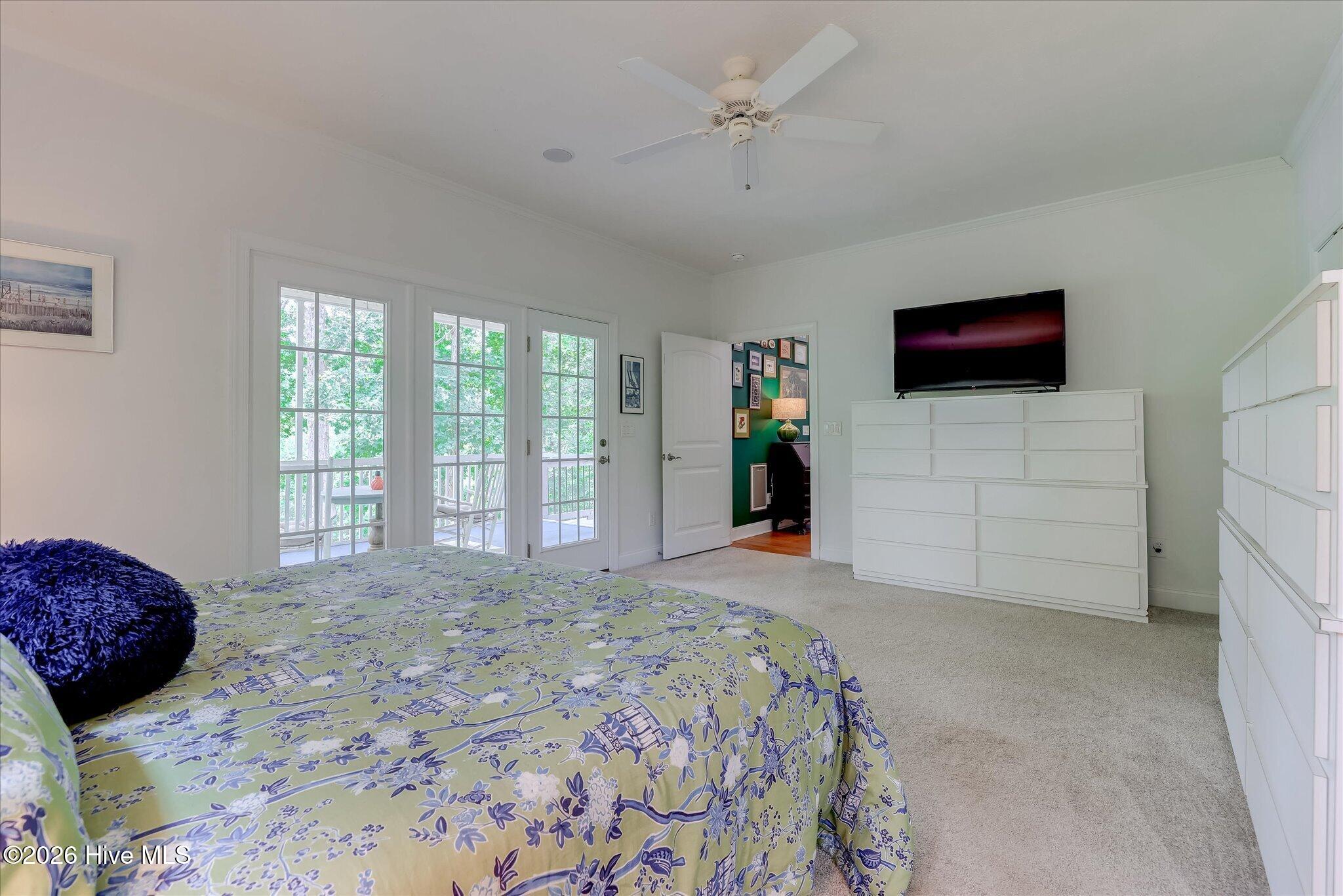 207 Rolland Place Property Photo 28