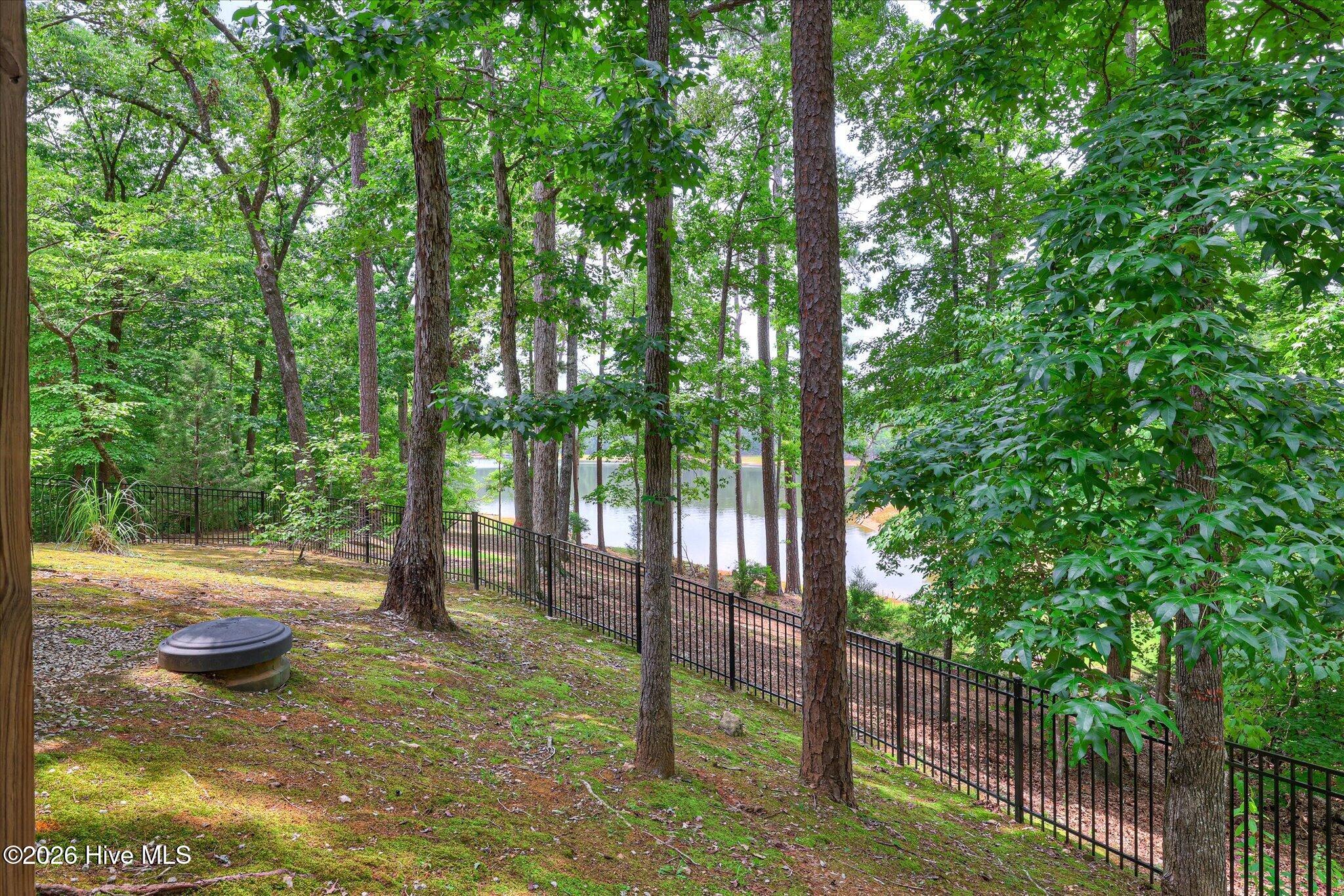 207 Rolland Place Property Photo 42