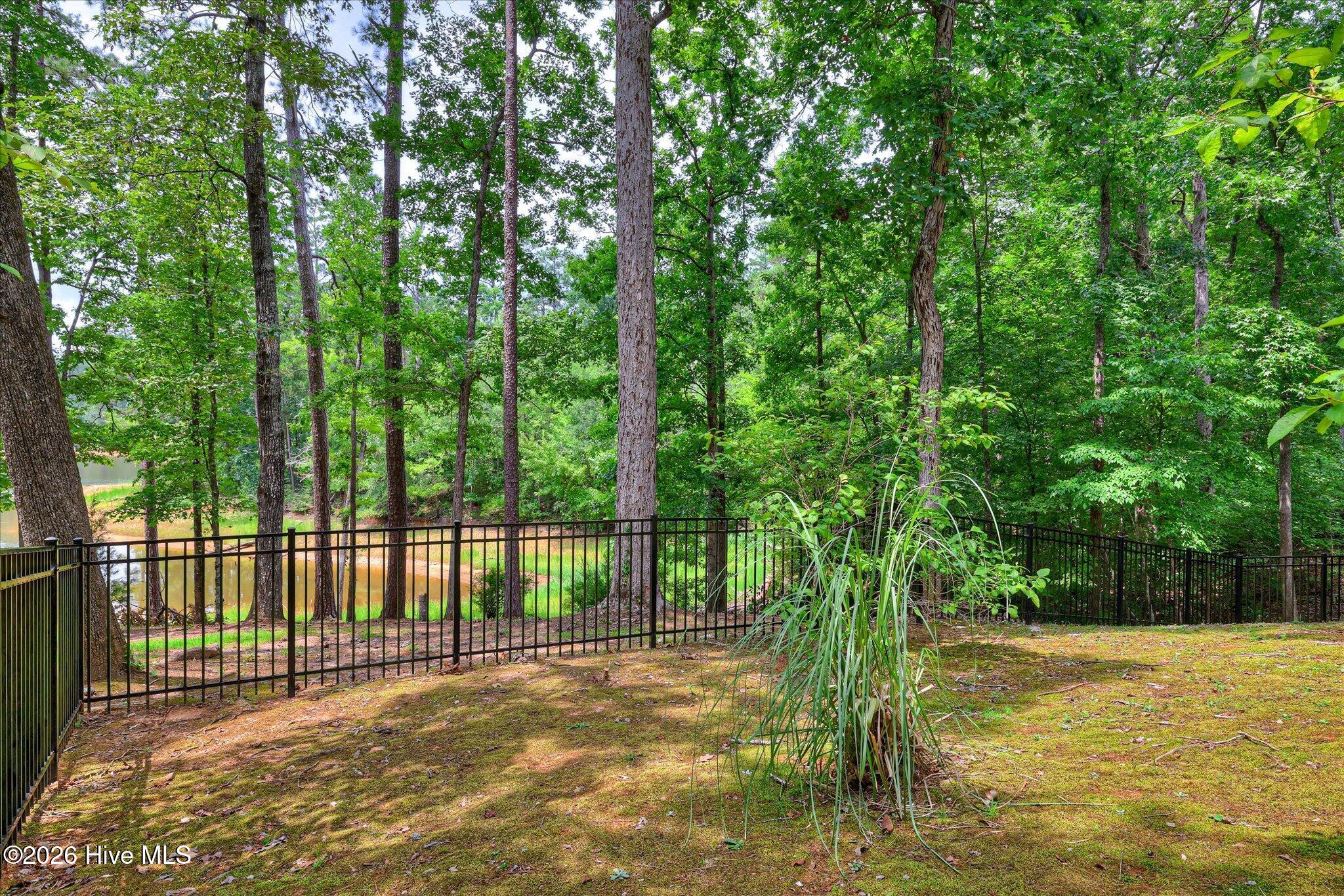 207 Rolland Place Property Photo 43