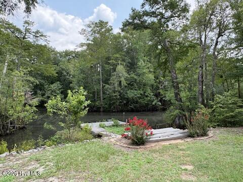158 Widow Moore Drive Property Photo 3