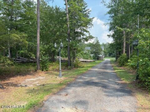 158 Widow Moore Drive Property Photo 48