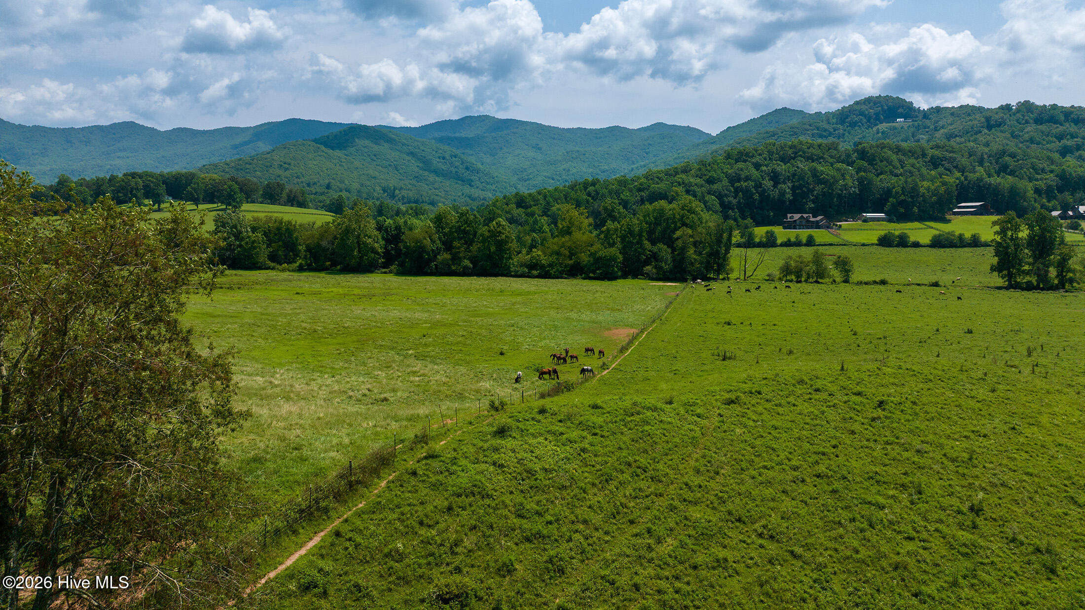 51.20 Ac Bethabara Road Property Photo 1