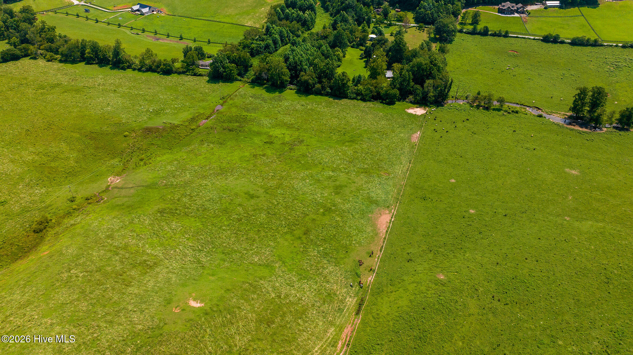 51.20 Ac Bethabara Road Property Photo 8