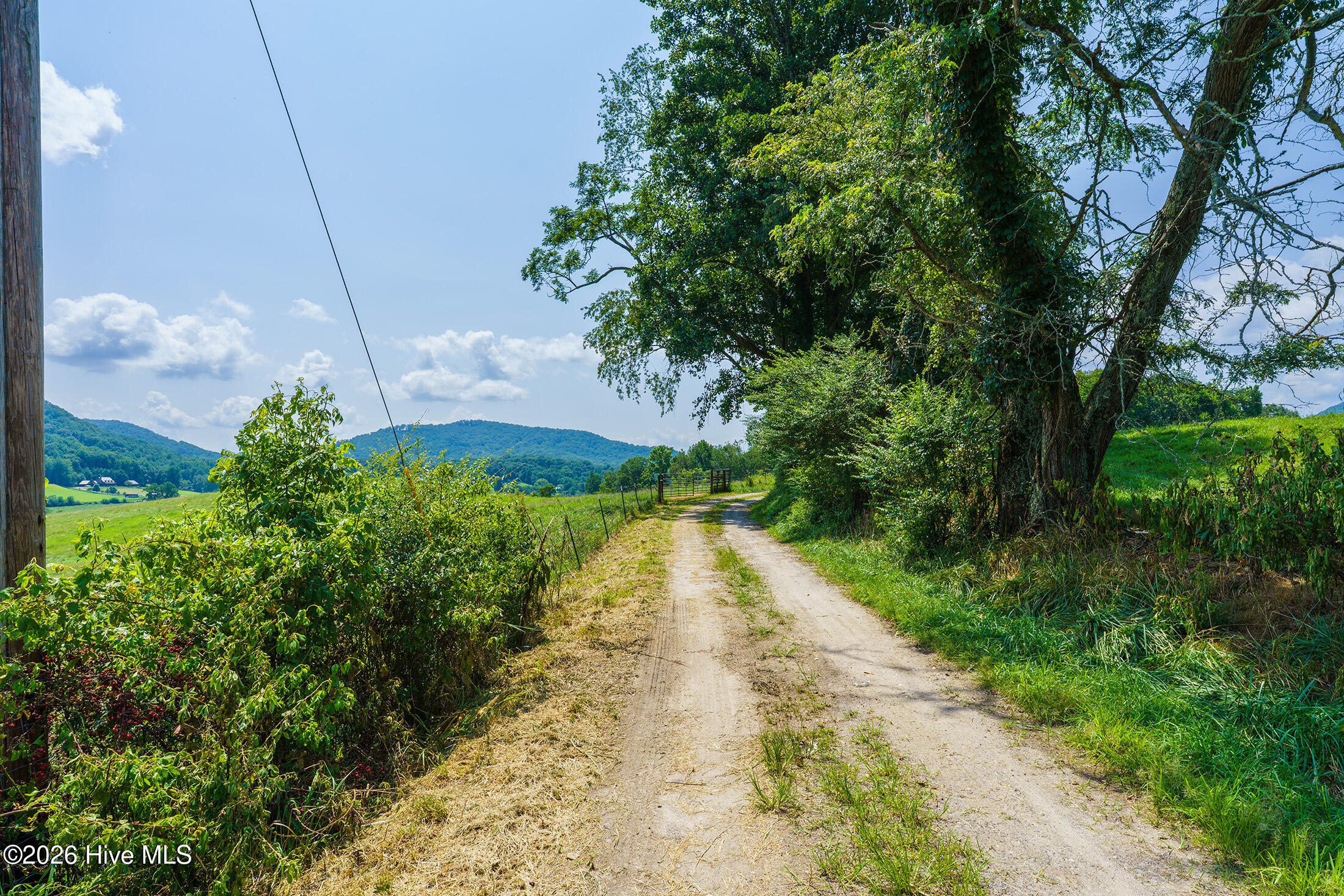 51.20 Ac Bethabara Road Property Photo 9