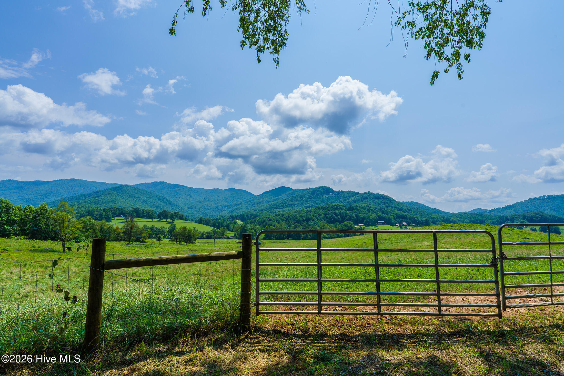 51.20 Ac Bethabara Road Property Photo 10
