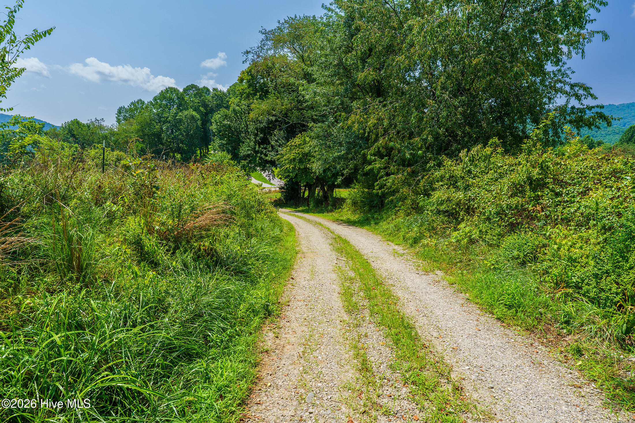 51.20 Ac Bethabara Road Property Photo 12