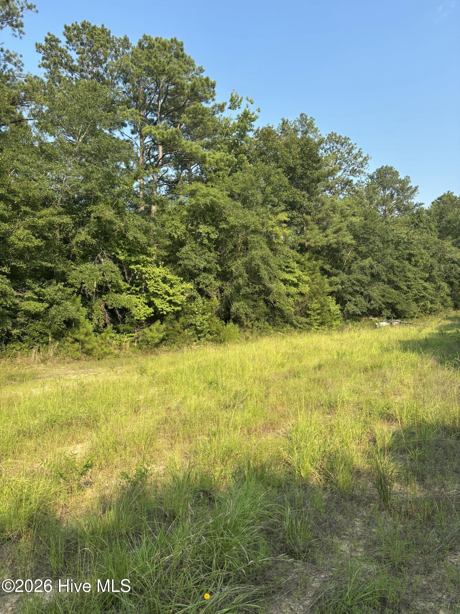 11 Magnolia Church Road Property Photo 1