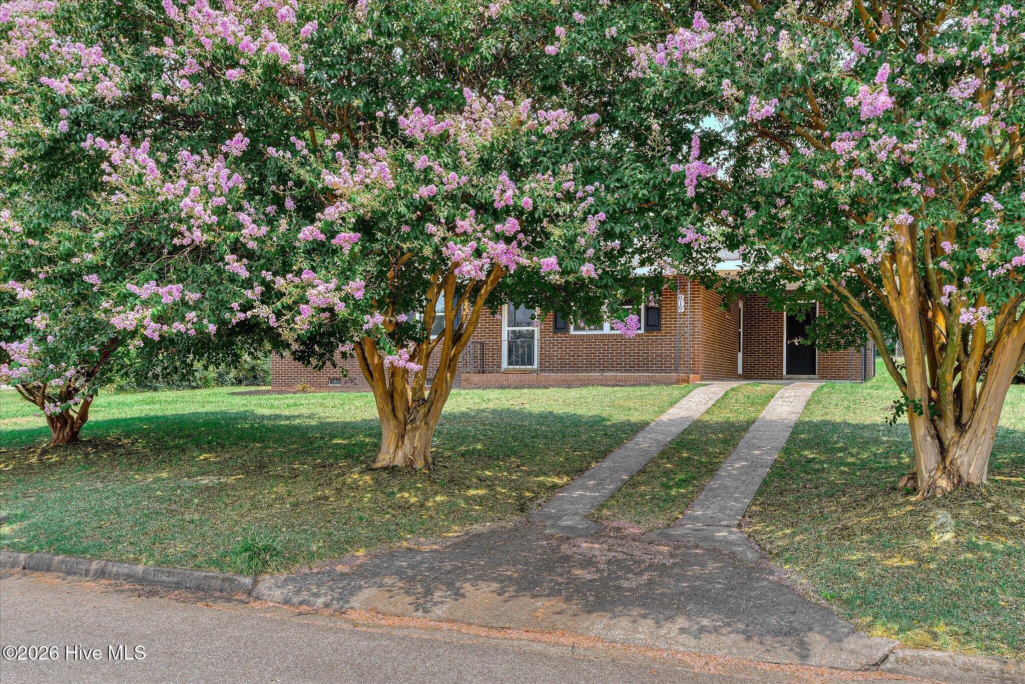 819 Hillside Drive Property Photo 4