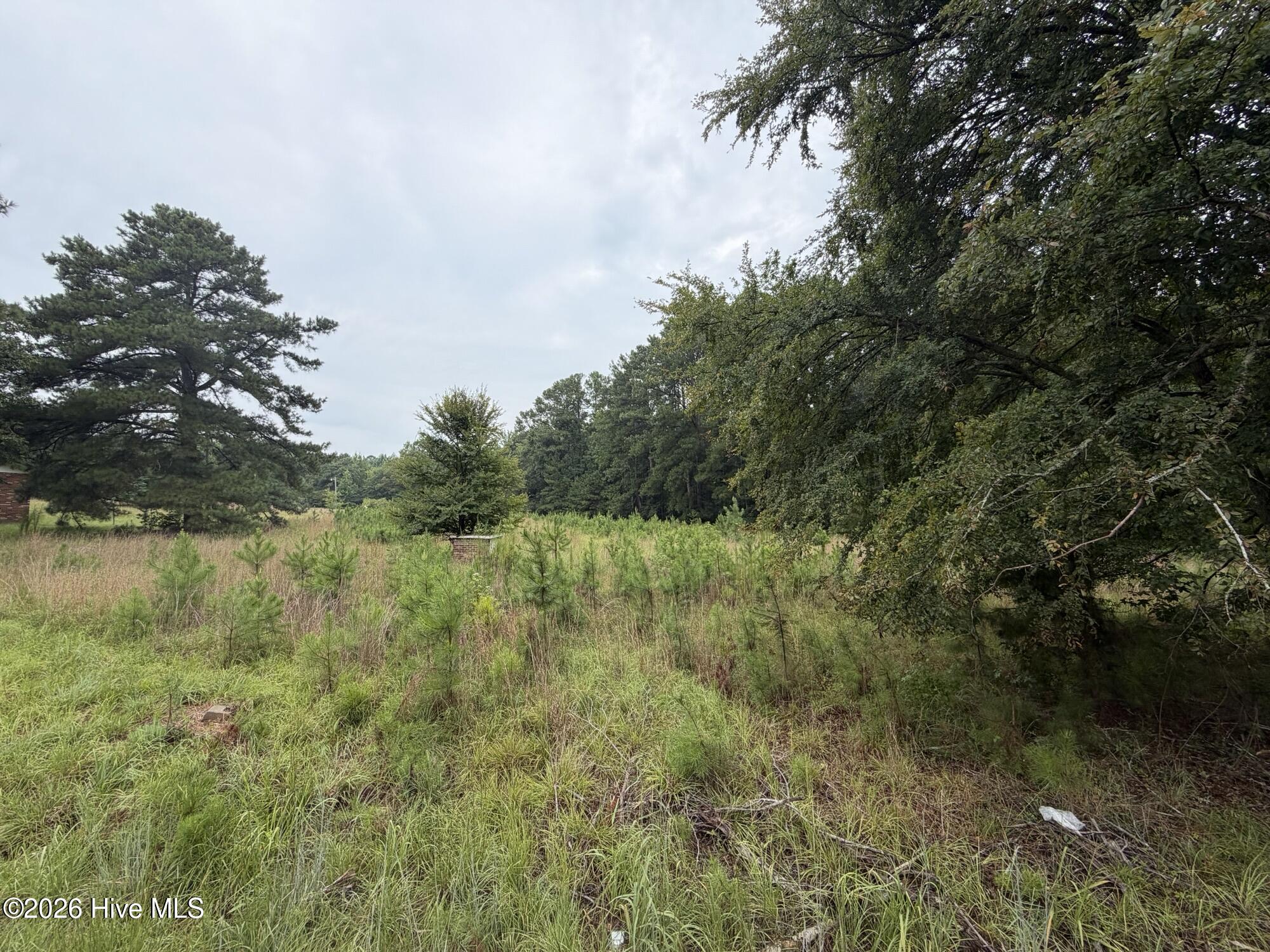 0 Mayfield Road Property Photo 3