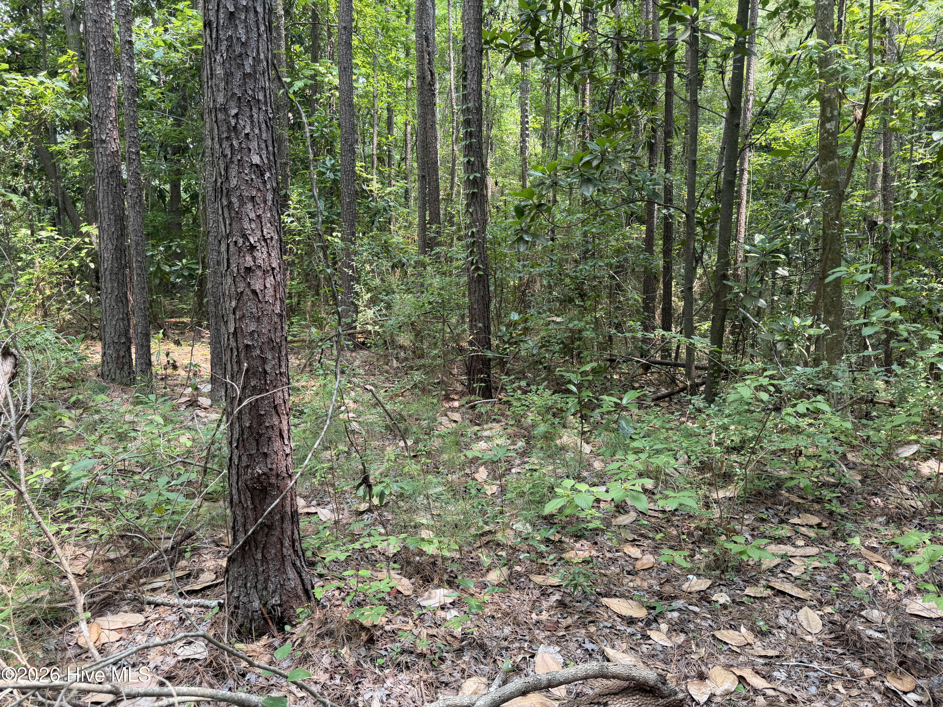 1199 8 Green Springs Road Property Photo 2