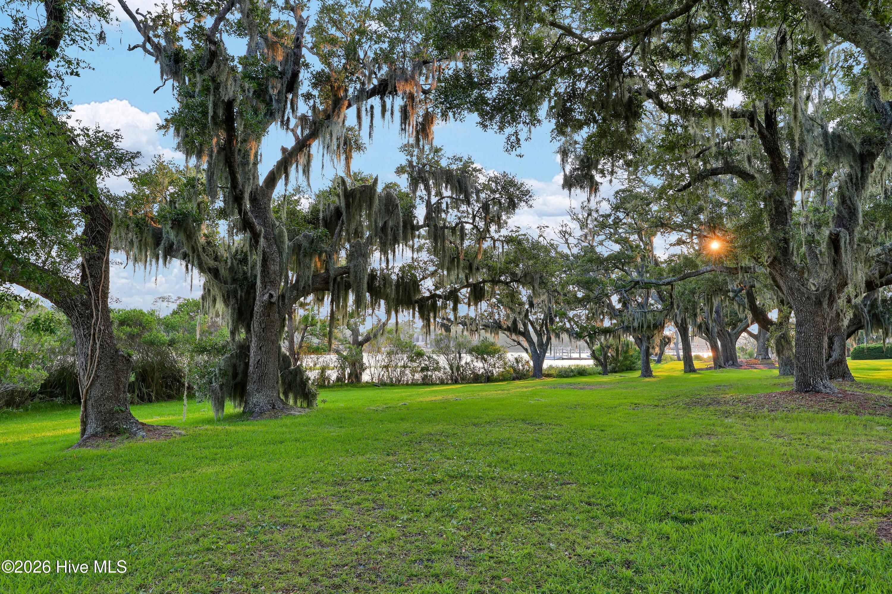 6612 Spring Garden Drive Property Photo 63